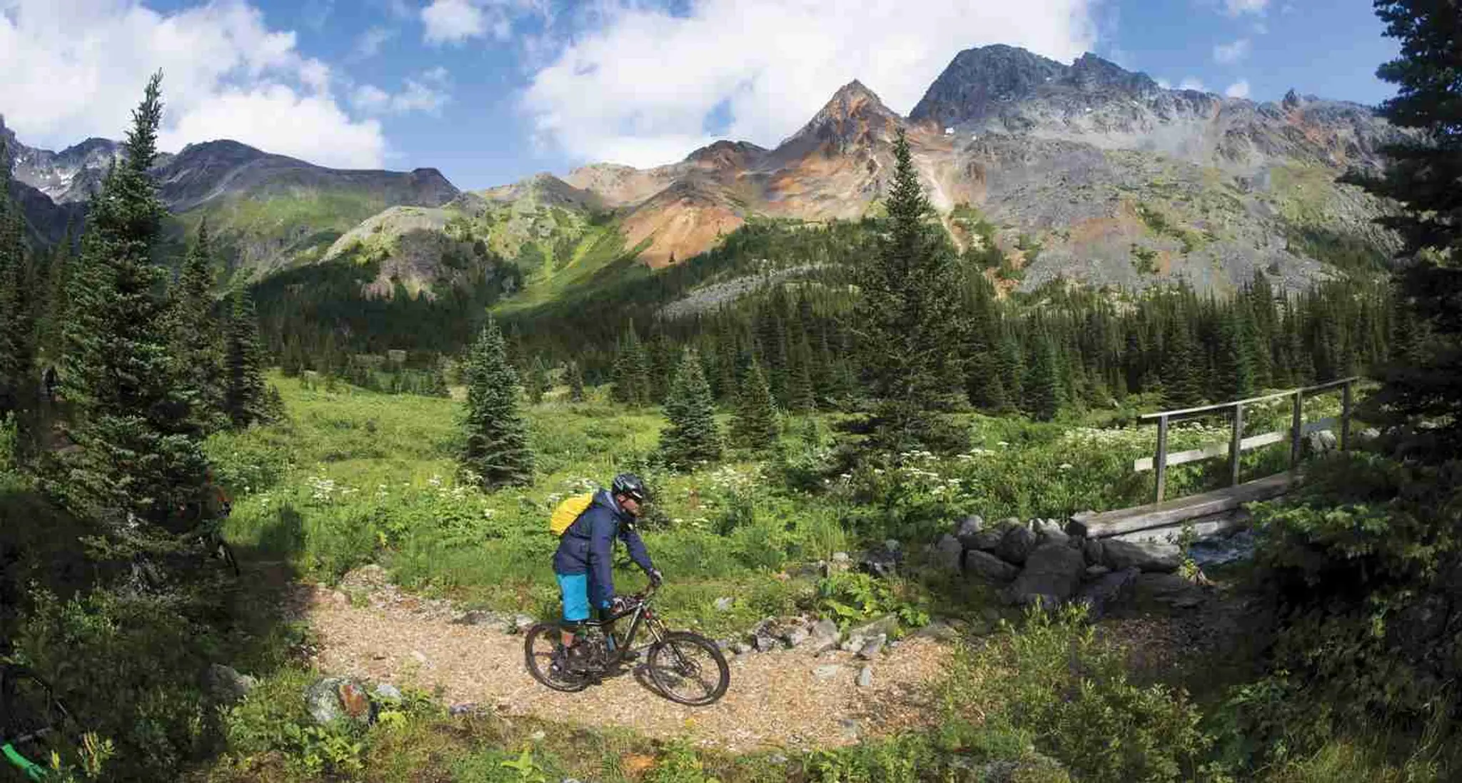 Double D-Lux Ranch Trail Rides & Petting Zoo