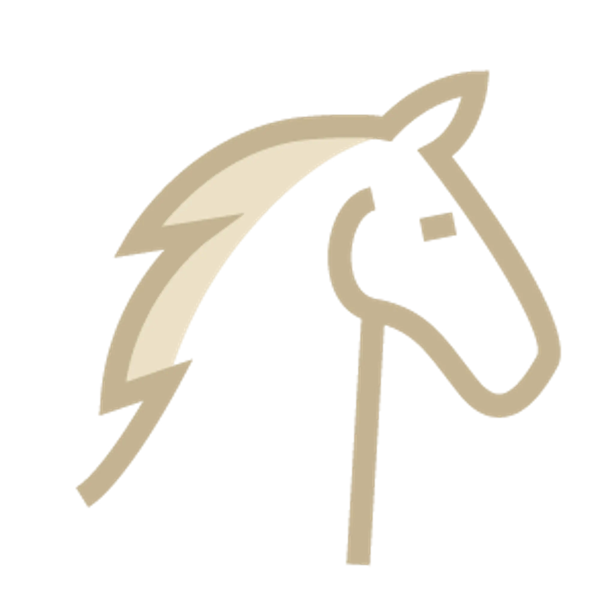 Le Haras Des Ouches, Equestrian Center Carré Médicis