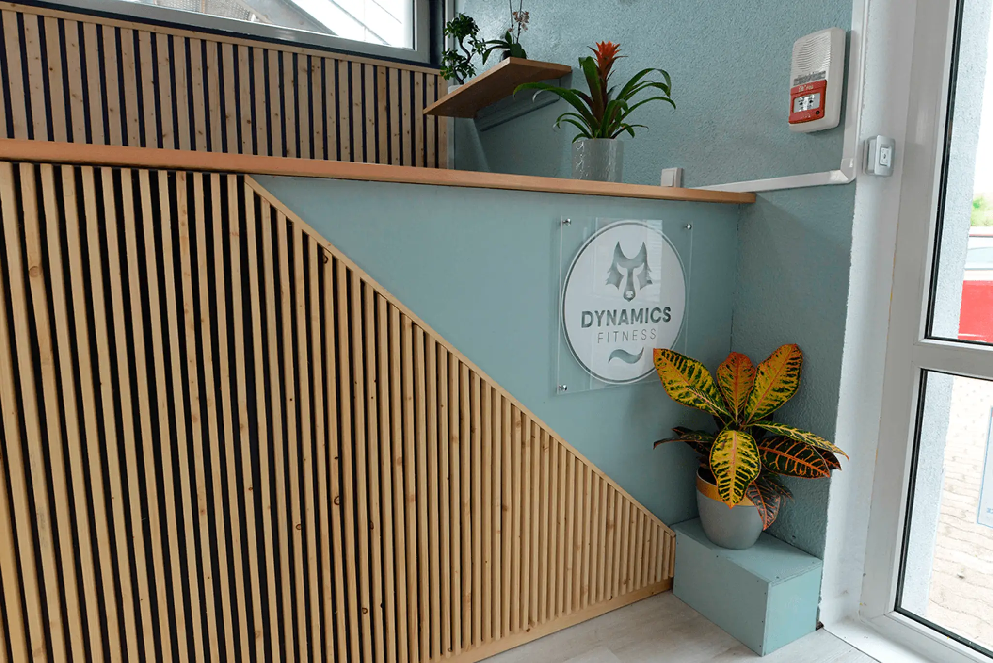 Dynamics Fitness Wittenheim