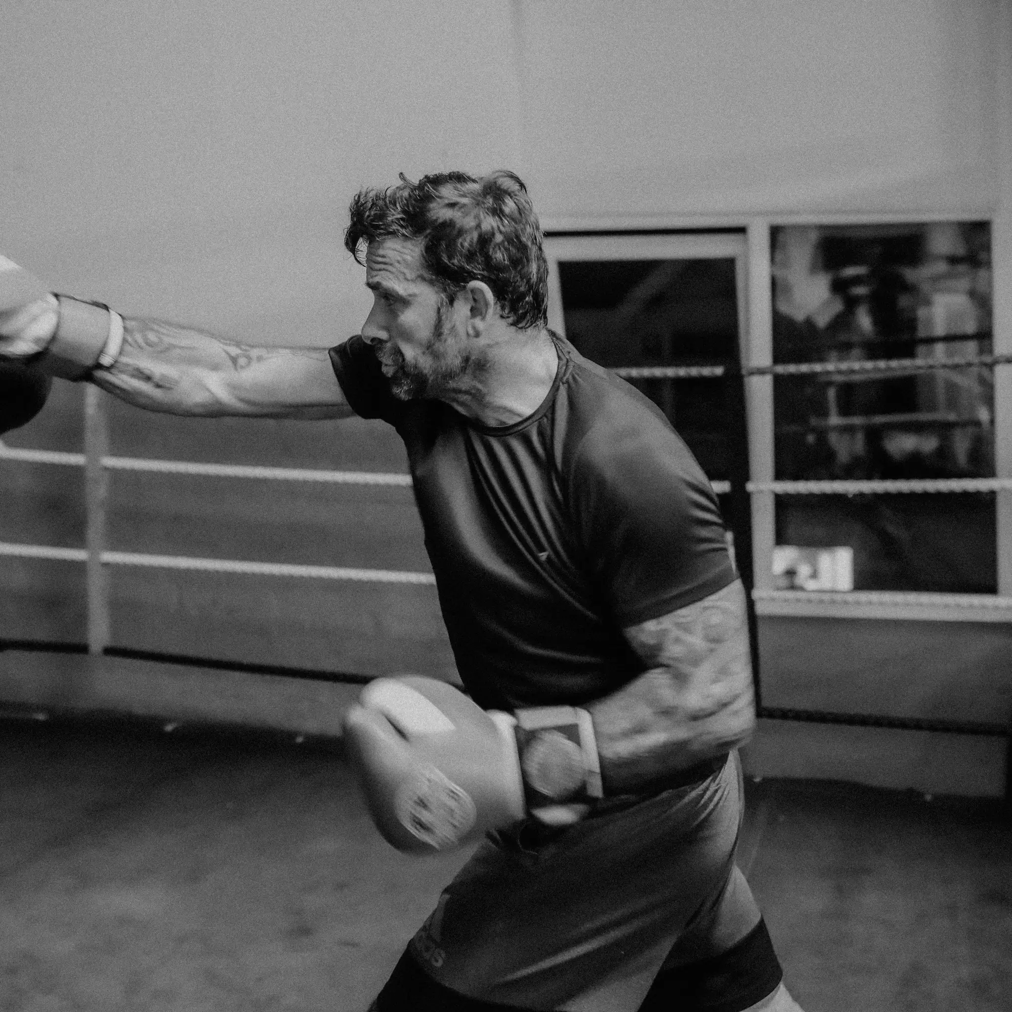 Bendall's Boxing