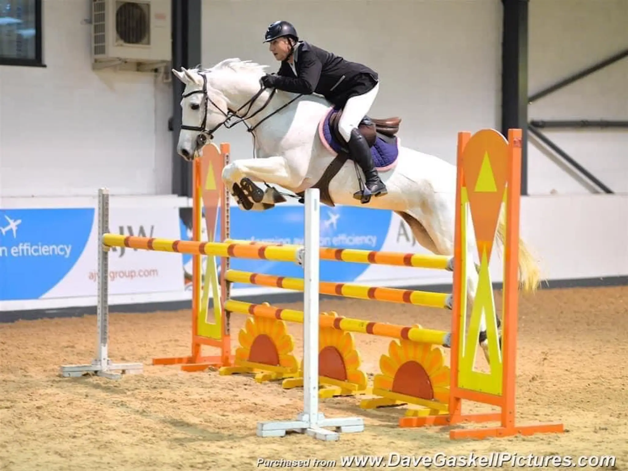 High Legh Riding Centre