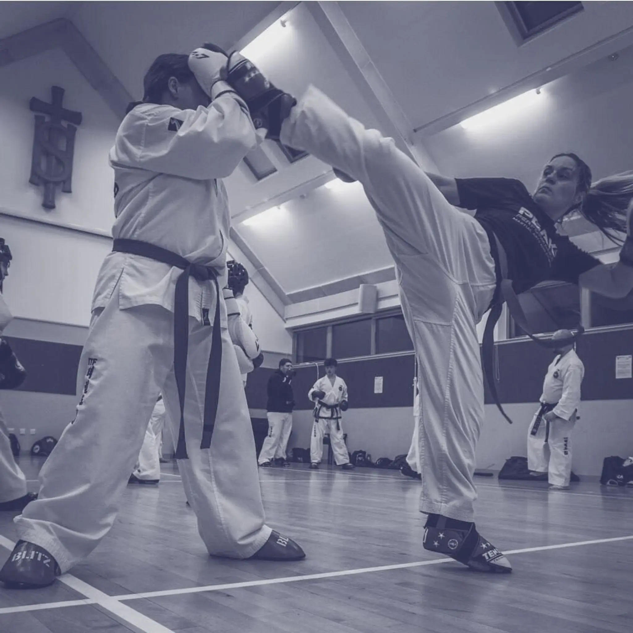 Steven Mclaren Martial Arts (SMMA)