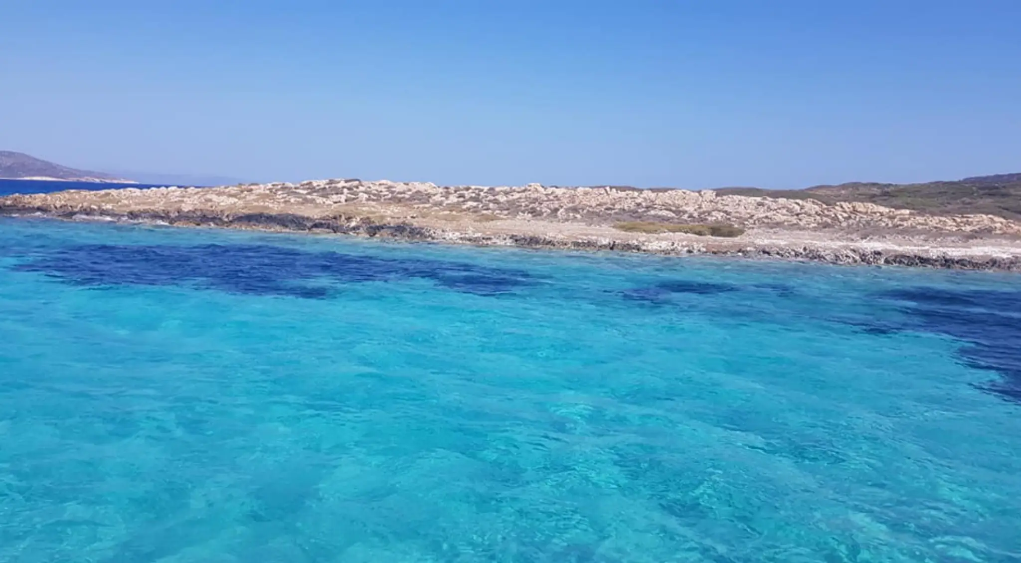 Anne Lawless Iyengar Yoga