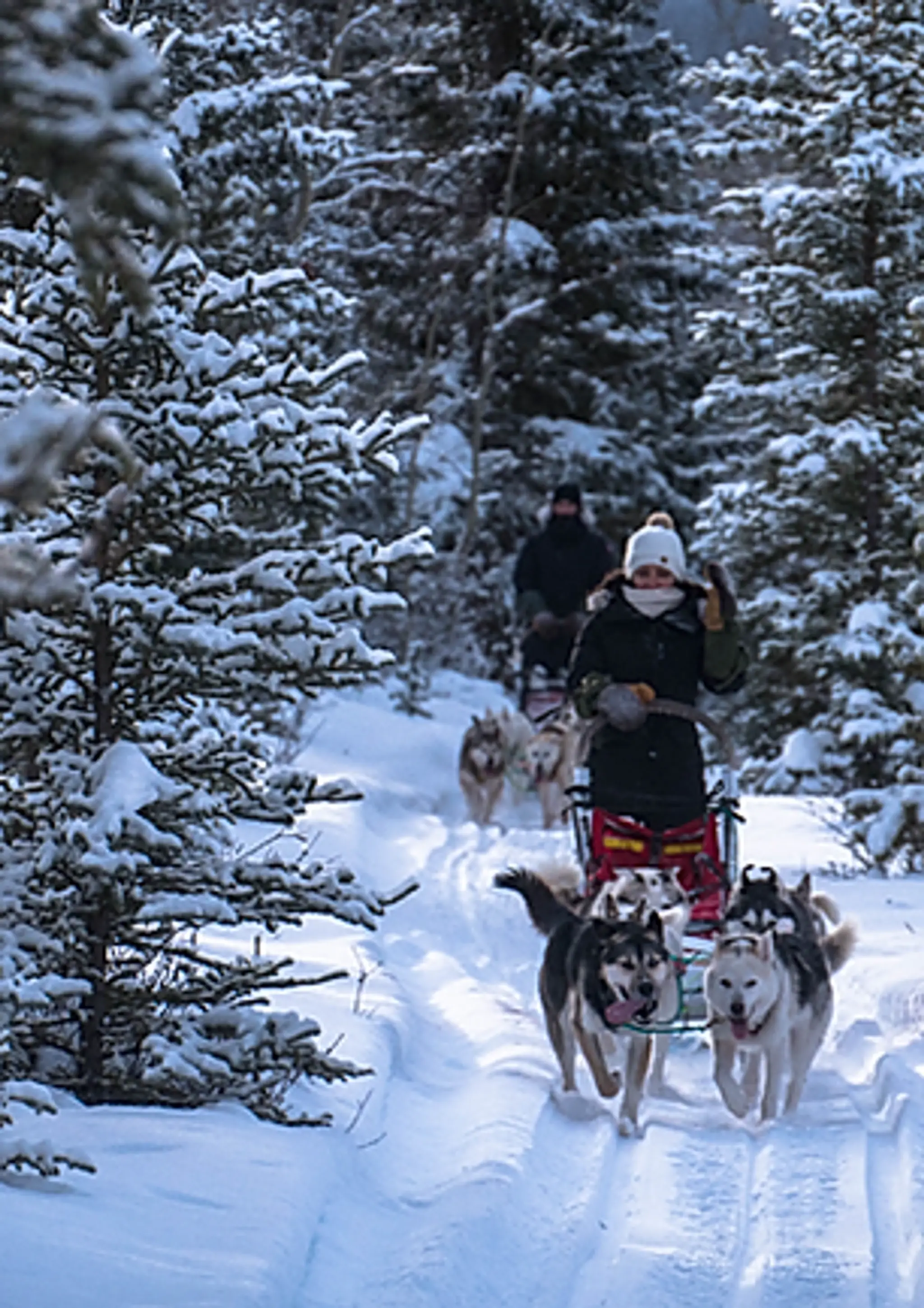 Boreal Kennels - Dog Sledding & Fishing Adventure Tours