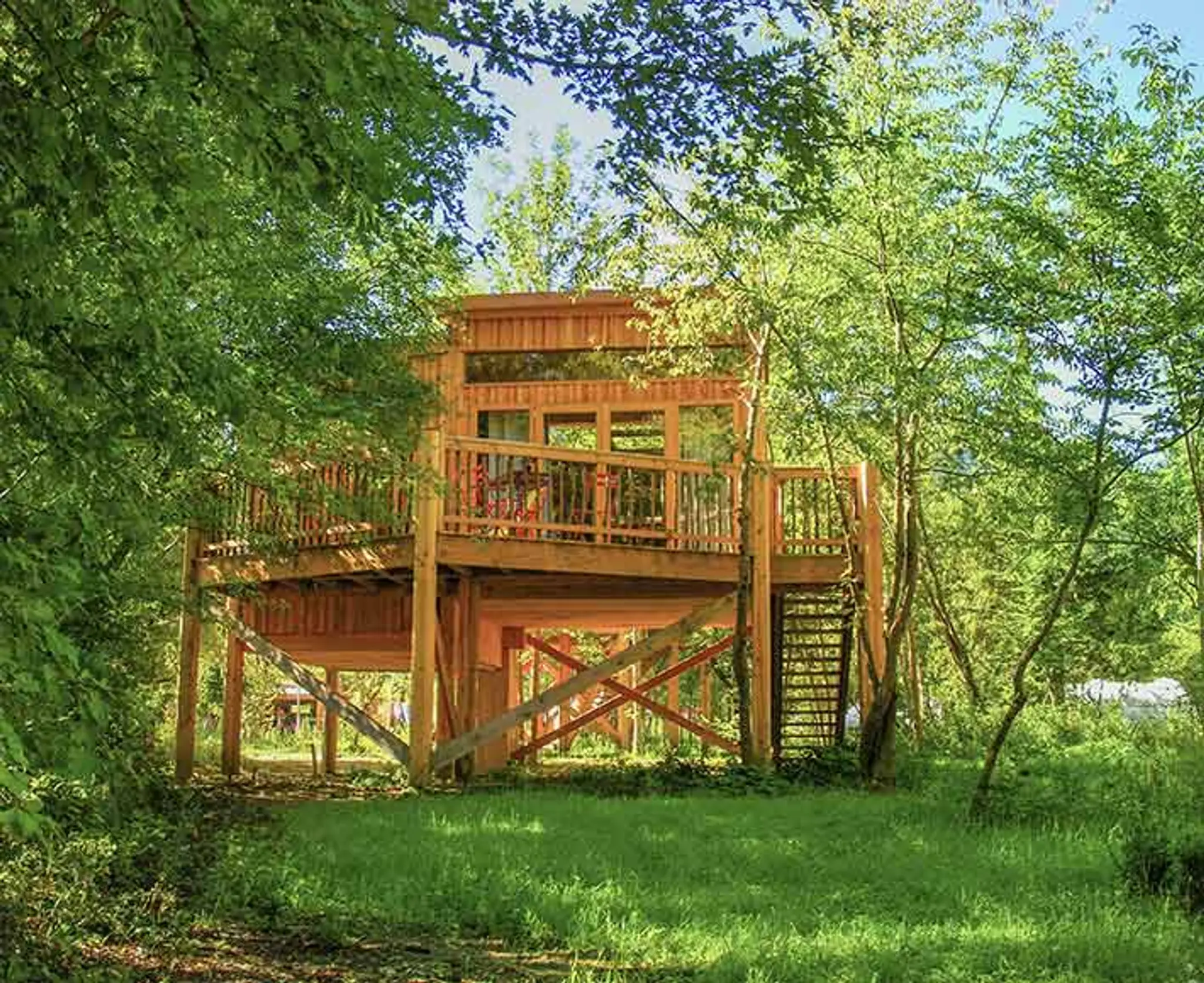 CosyCamp - Tree House