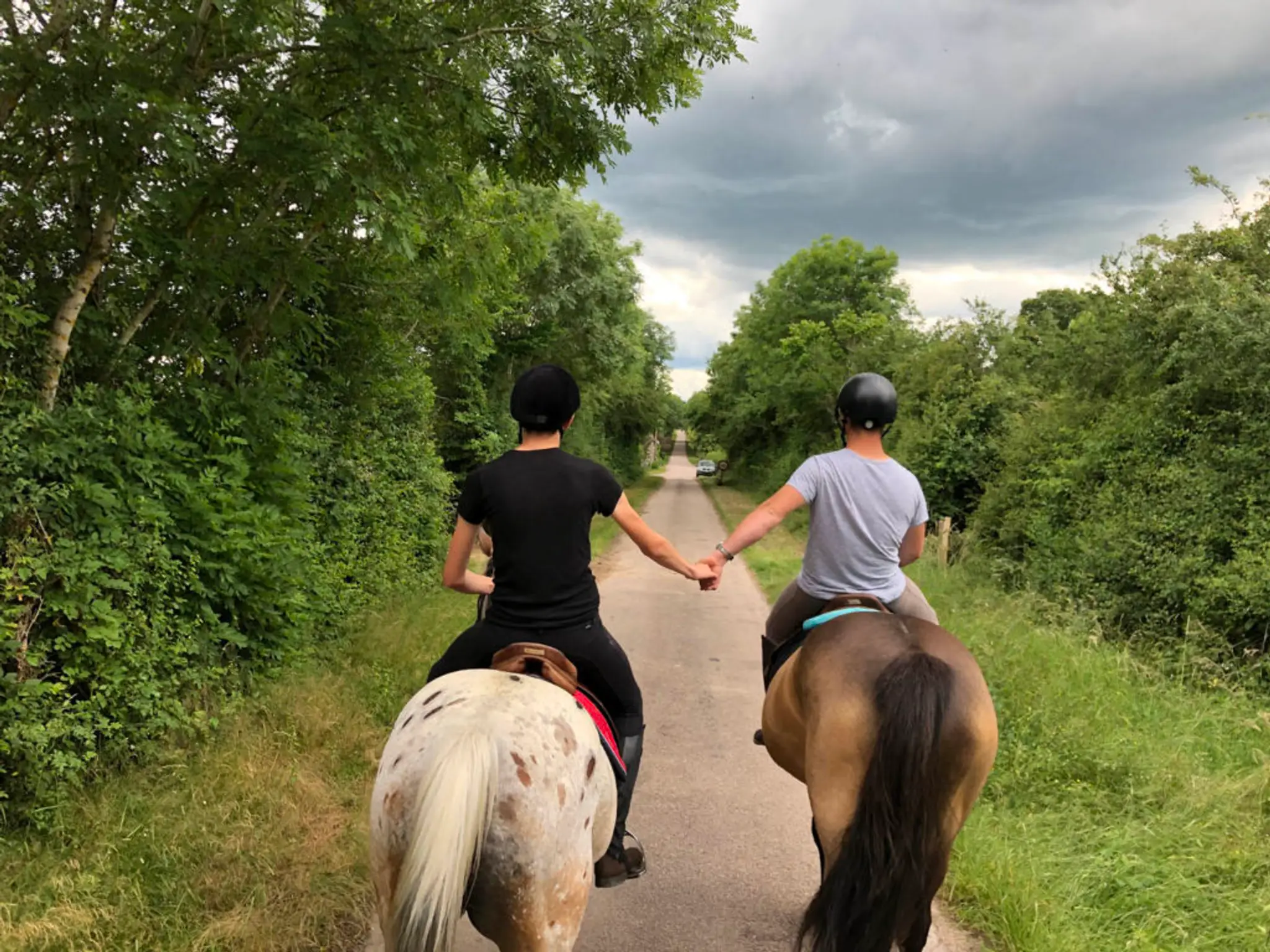 ECURIES K DES LYS C E DE SAULIEU