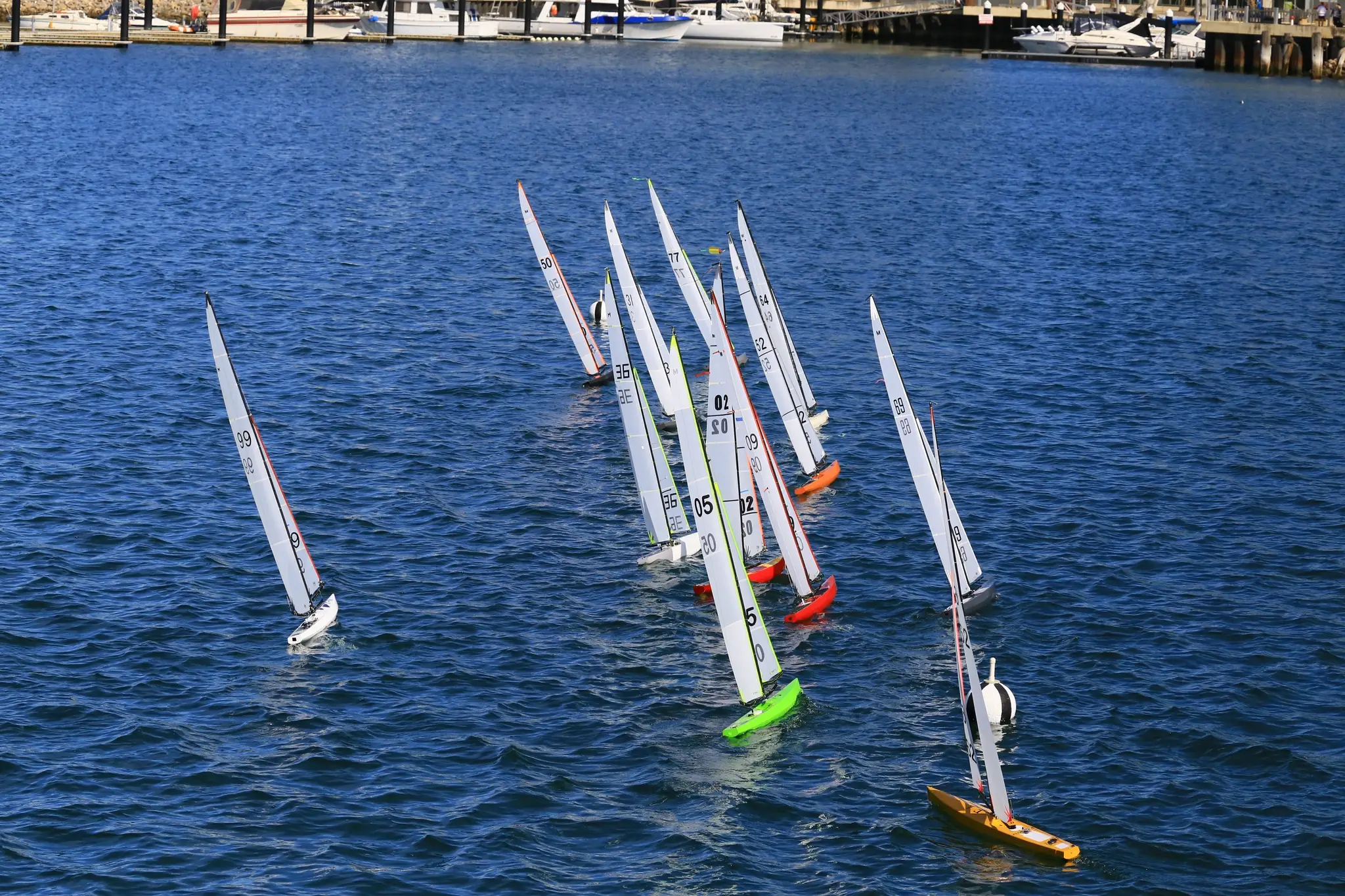 Adelaide Radio Control Yacht Racing Club