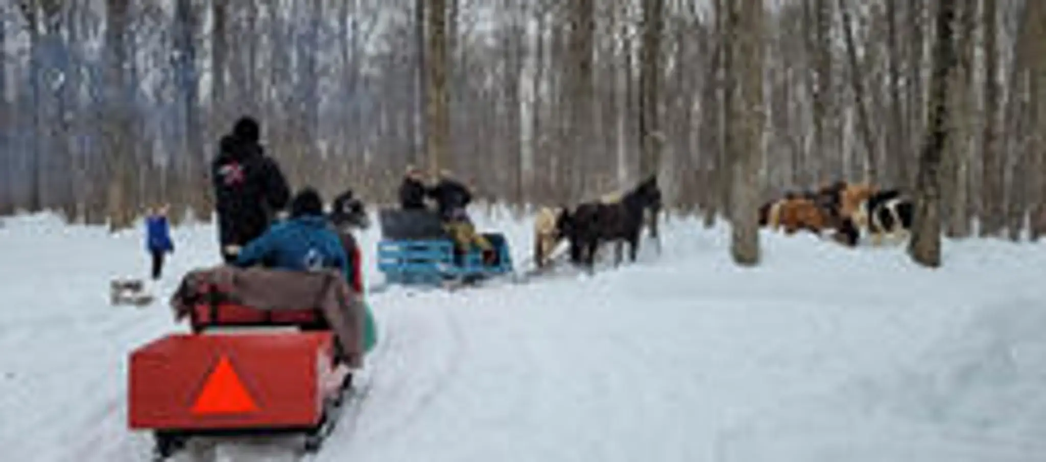 Club des Routiers questres