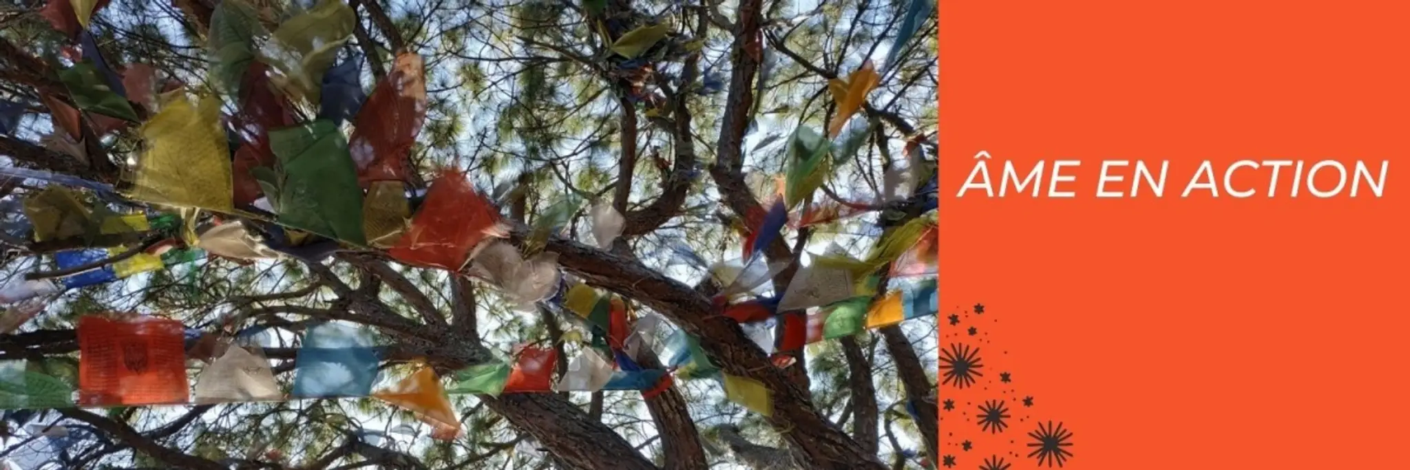 Geraldine Sarraud - Nos états d’âme - Thérapie Hypnose & Magnetisme