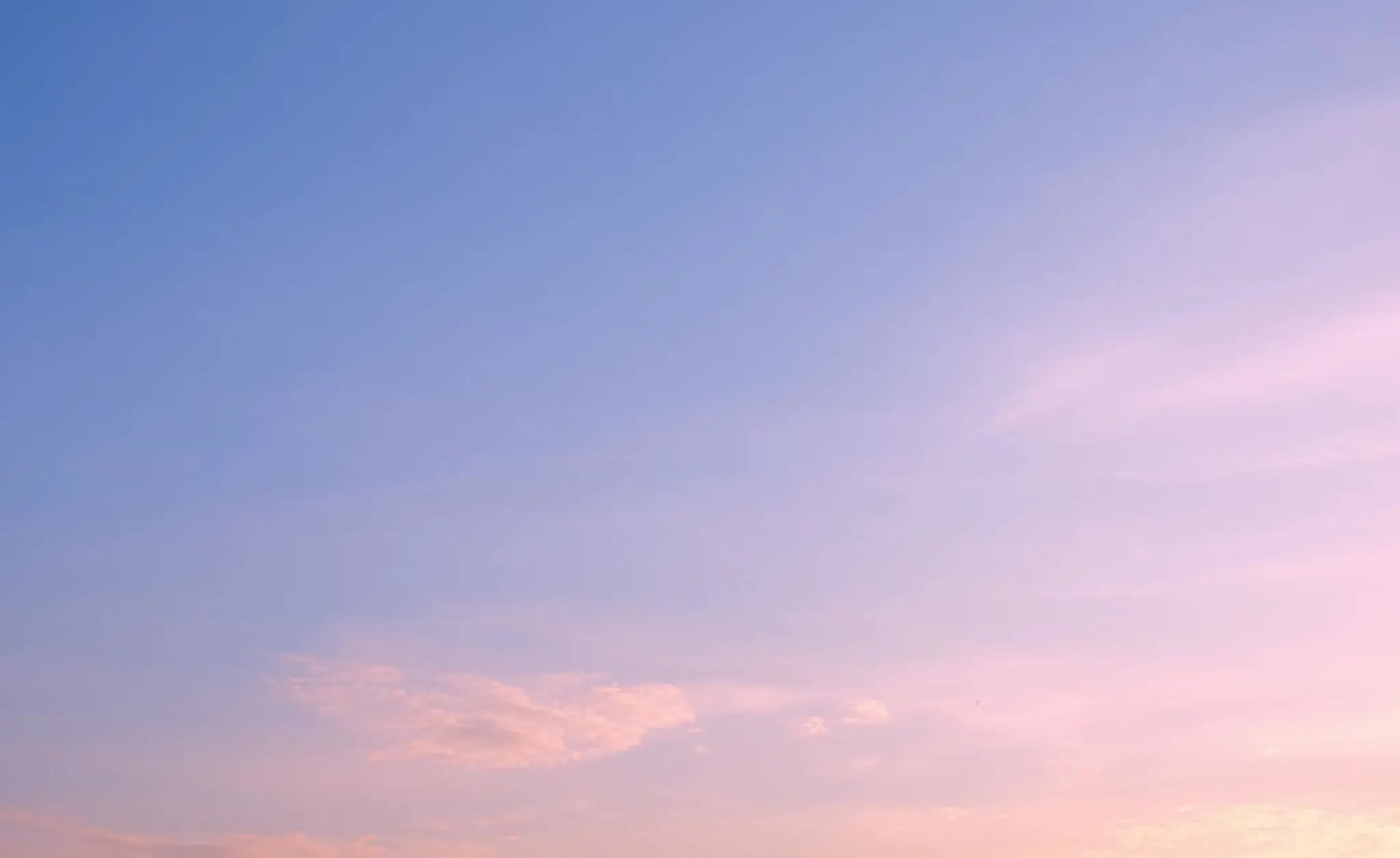 One Brazilian Jiu-Jitsu classes