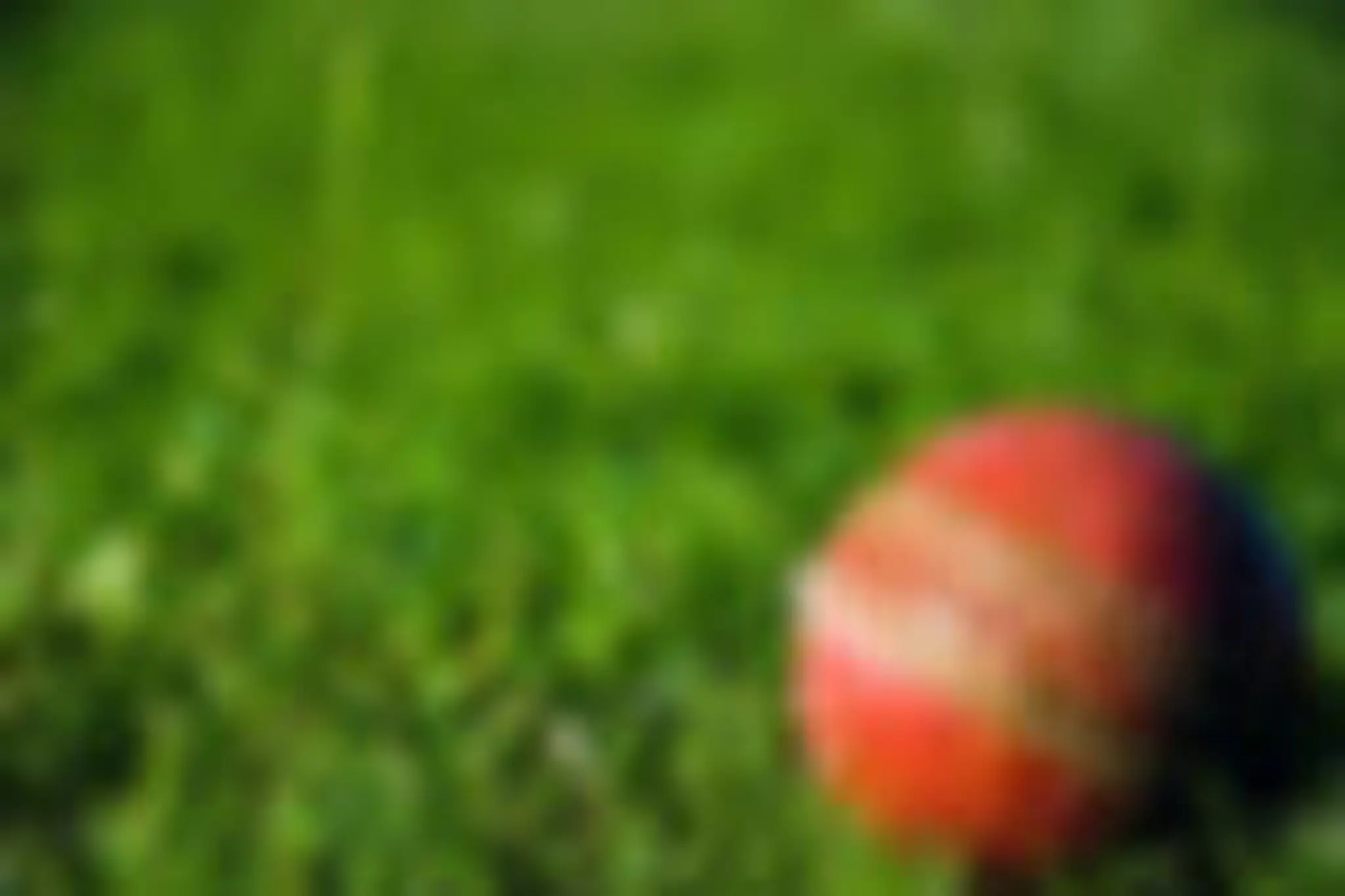 Marston Green Cricket Club