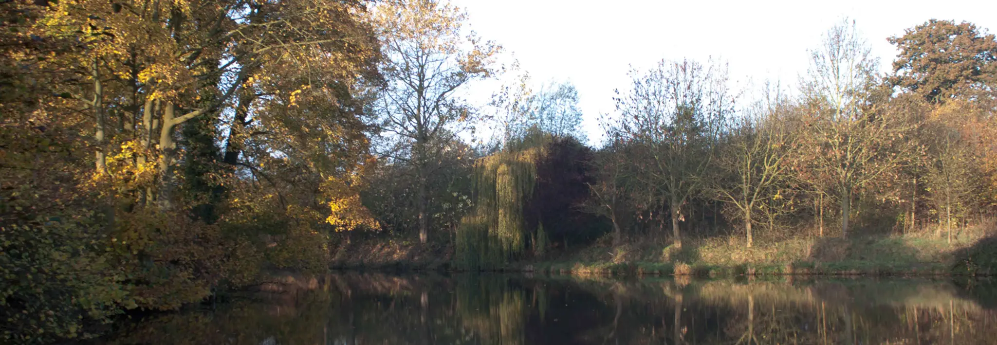 Hanchurch Fishing Club