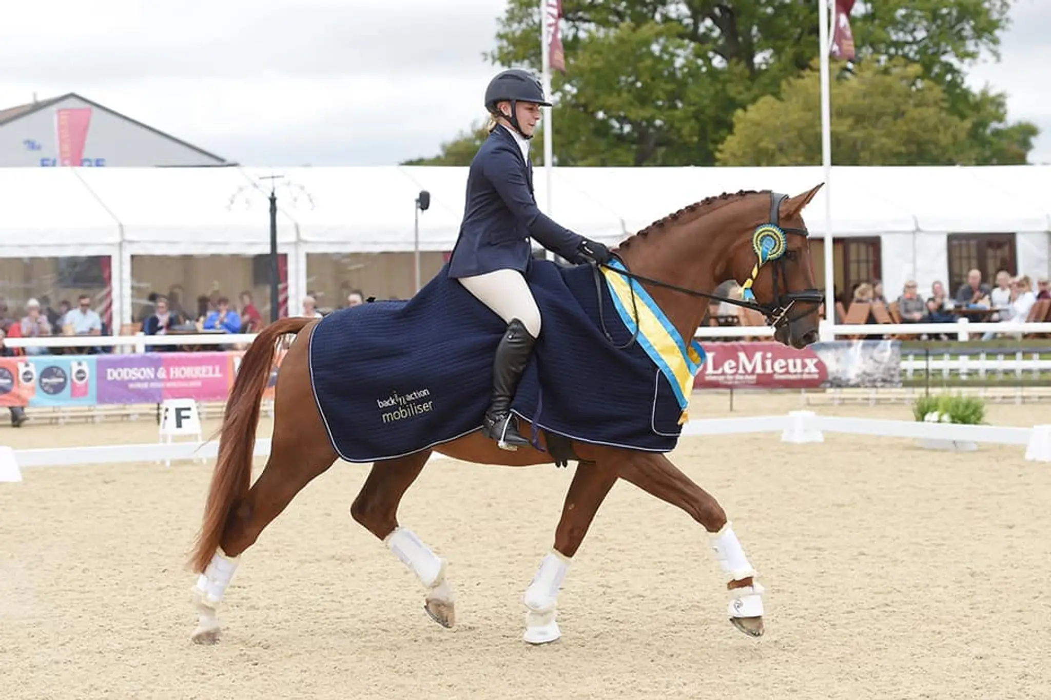 Caron Roberts Equestrian