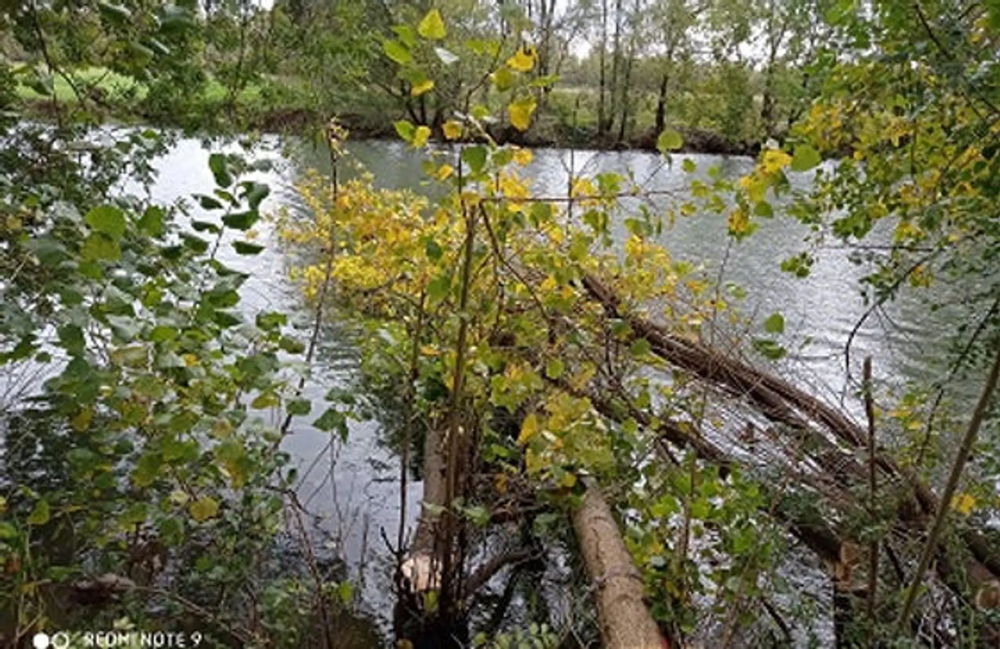 Ablette Angevine Association