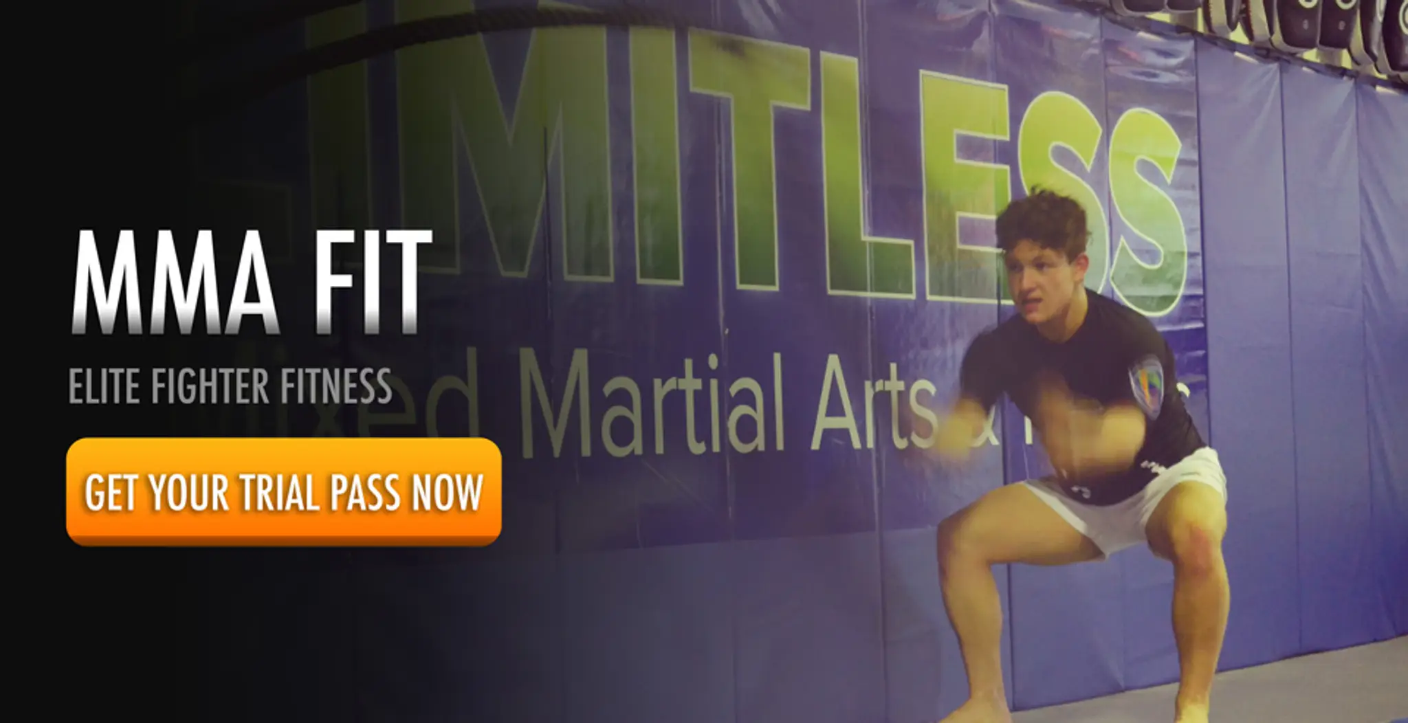 Limitless Mixed Martial Arts & Fitness