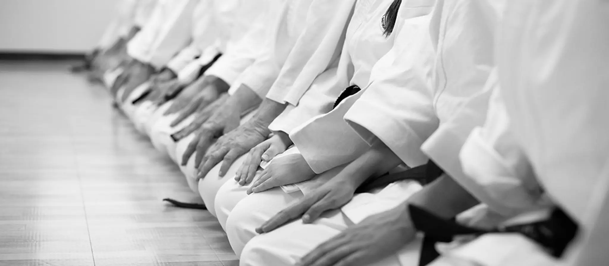 Neath Bushi Kai Karate