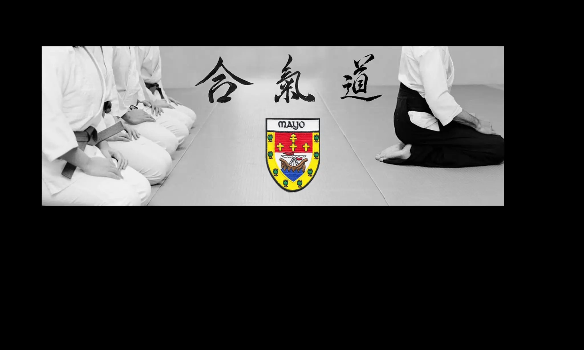 Aikido Mayo
