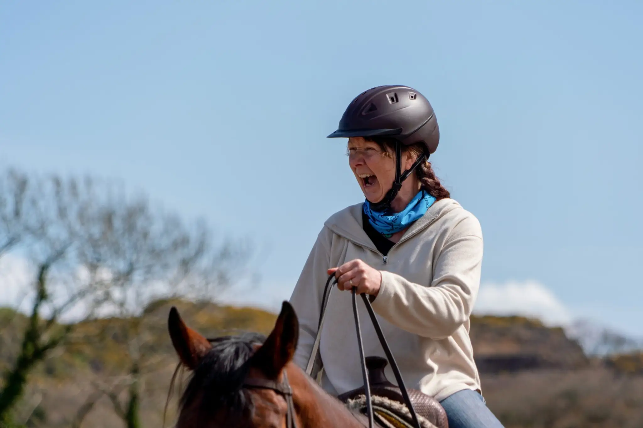 Dartmoor Riding Holidays