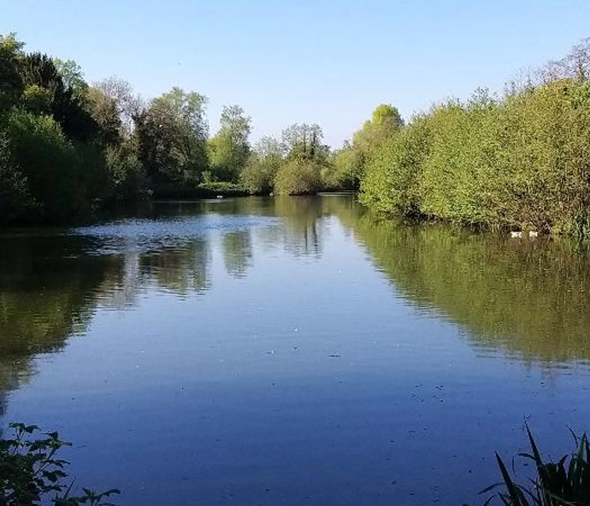 Darenth Fishing Complex