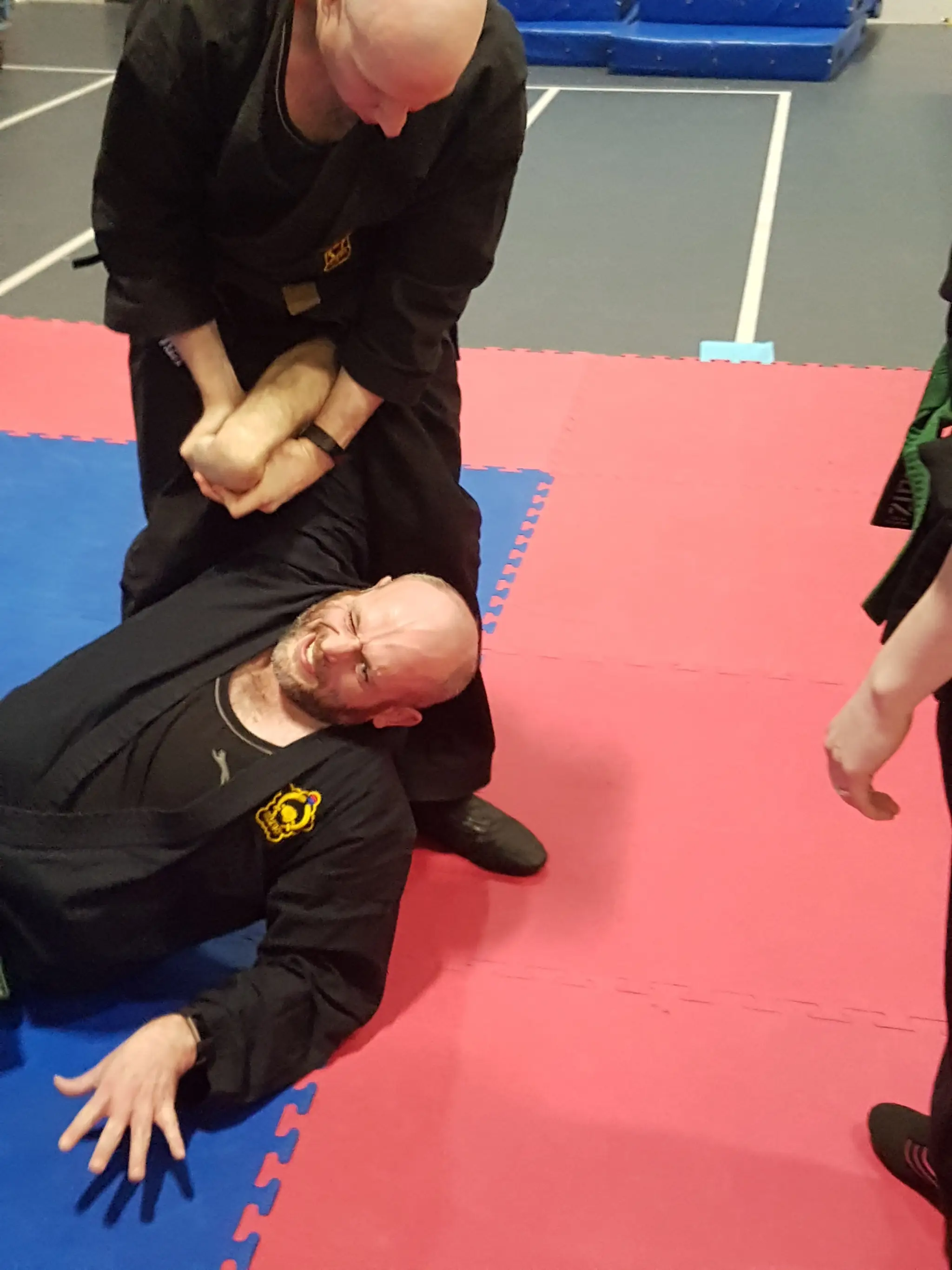 Hapkido (Teesside)