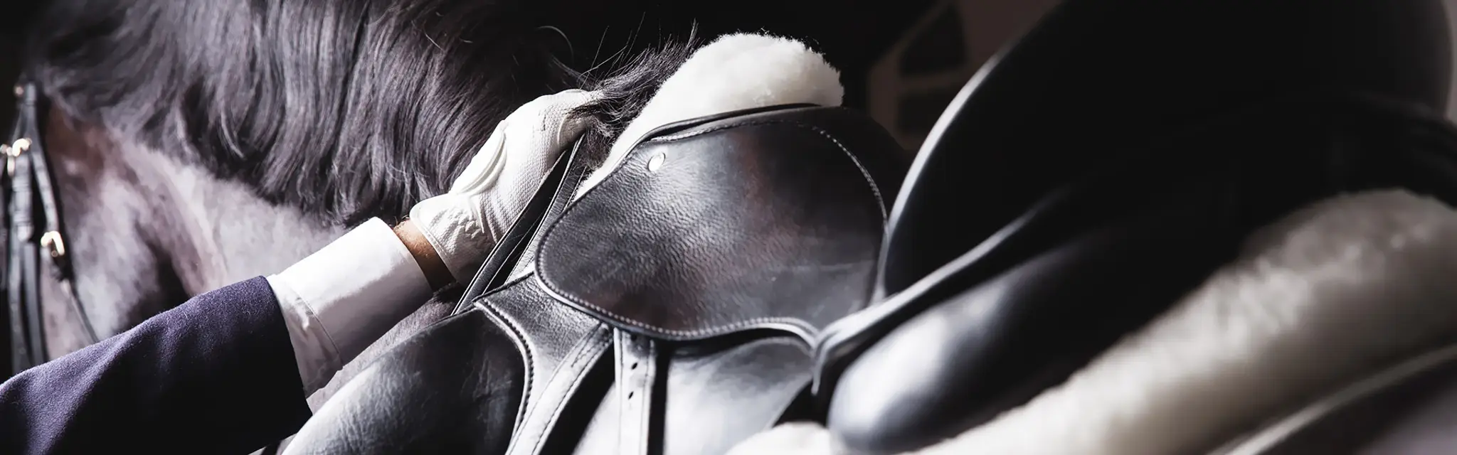 École d'Equitation Préty-Cuisery