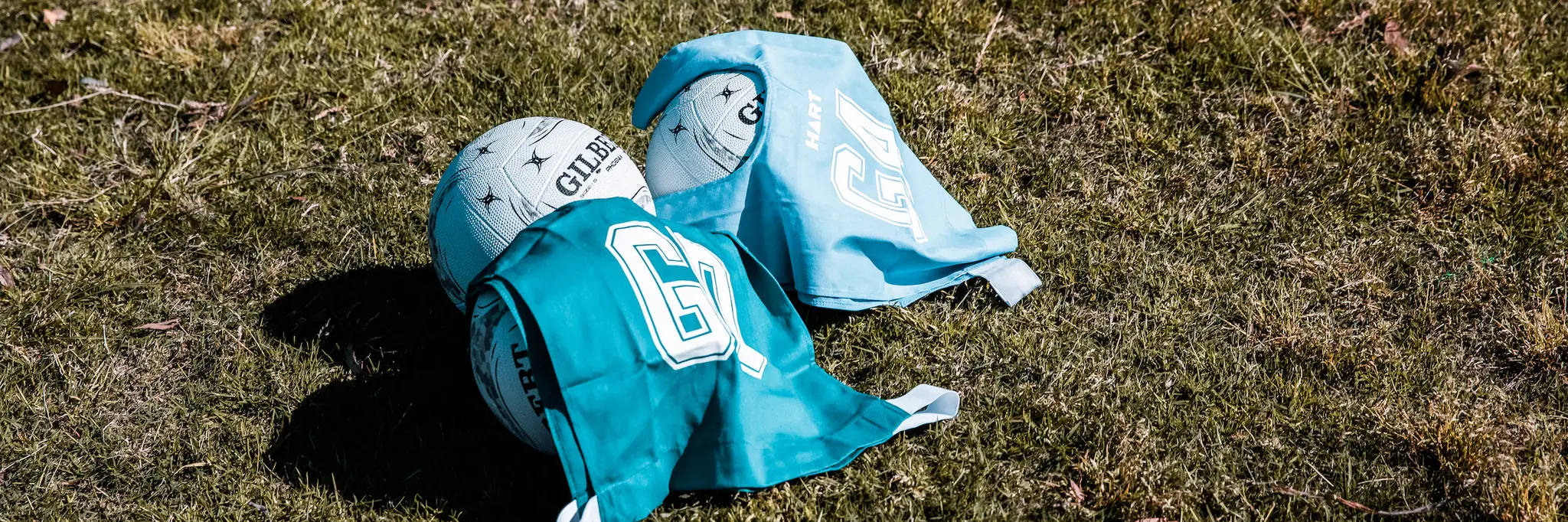 Illawarra District Netball Association