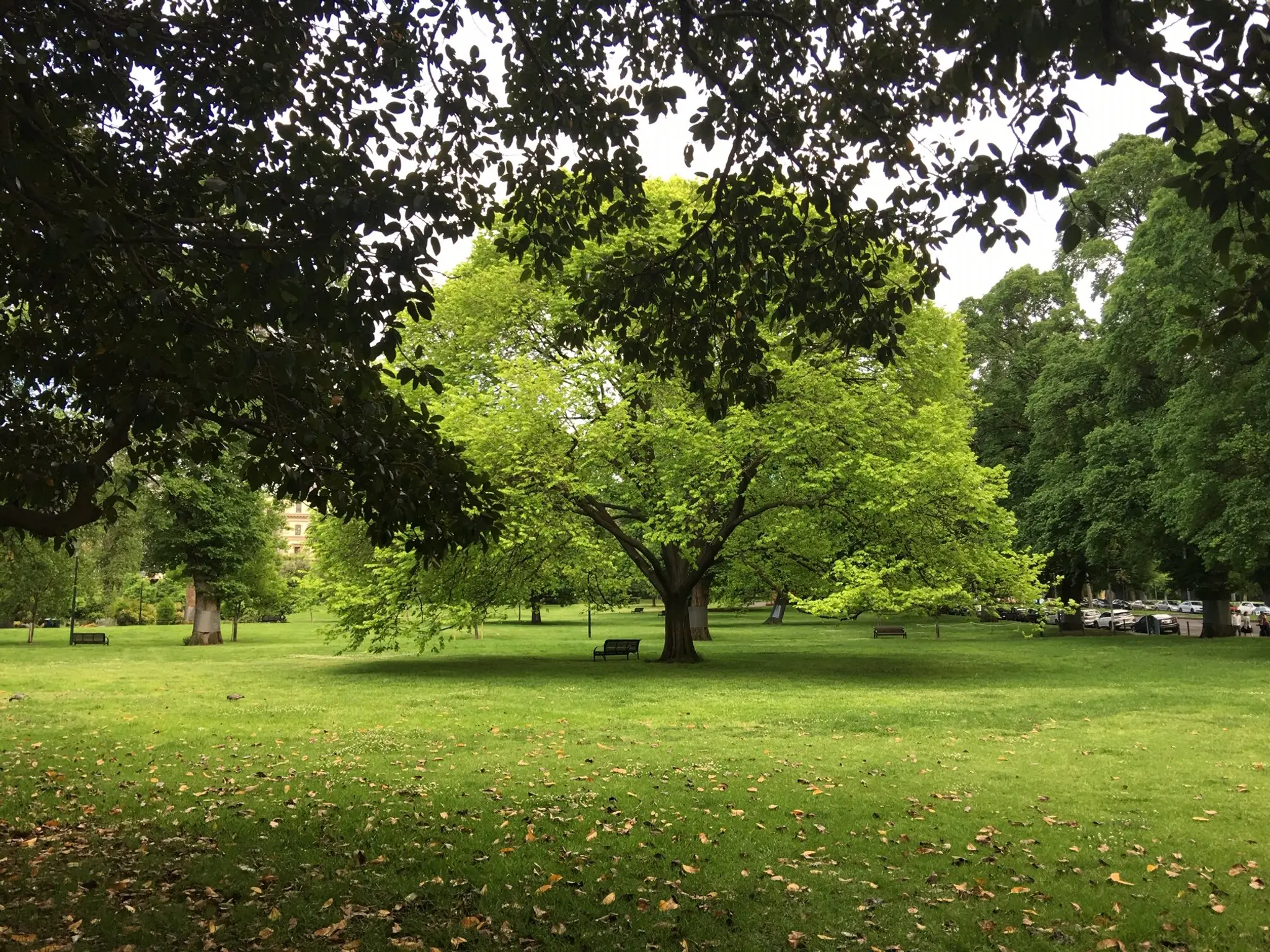 Wallan Wallan Natural Therapies