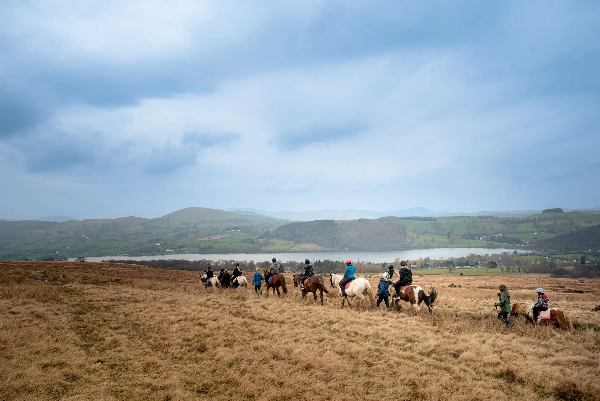 Park Foot Pony Trekking Centre