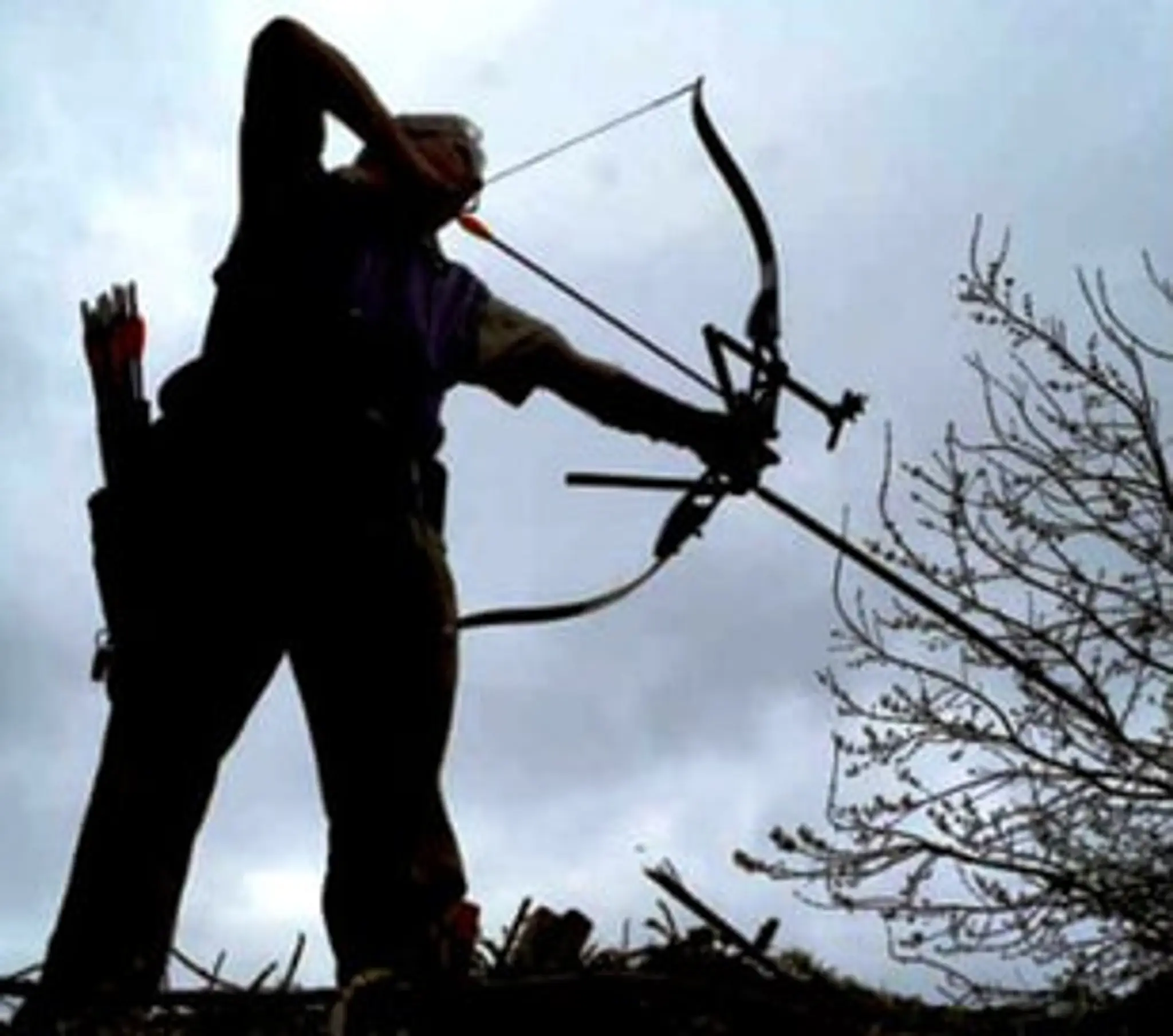 South Birmingham Archers