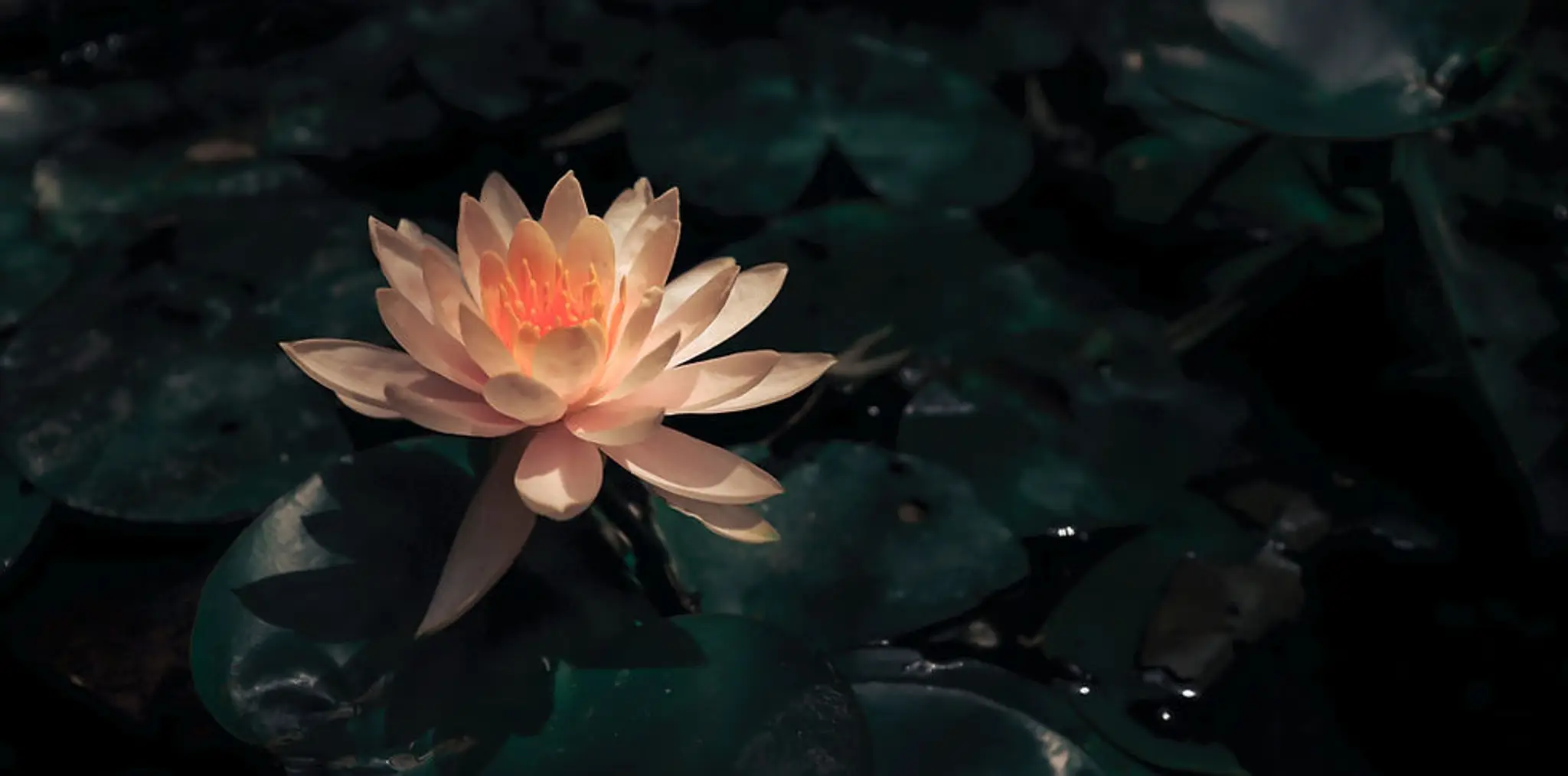 Gnarabup Yoga Studio