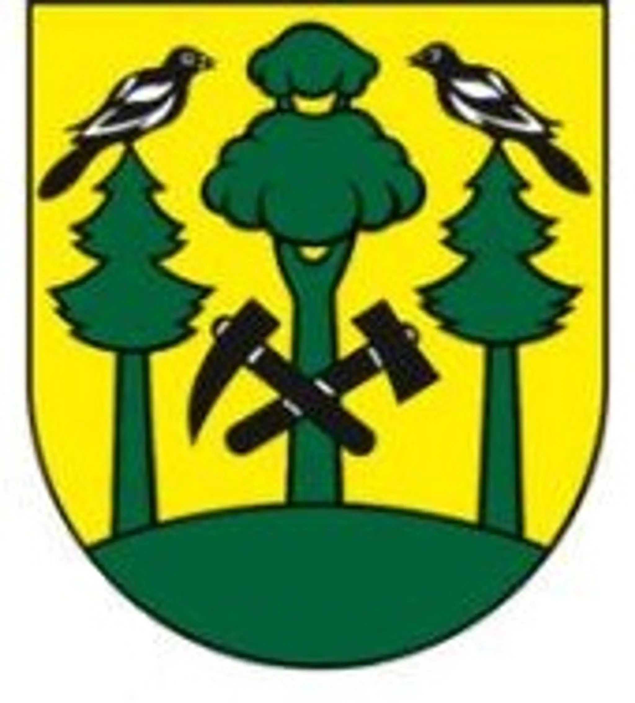 Ihrisko TJ Tatran Turček