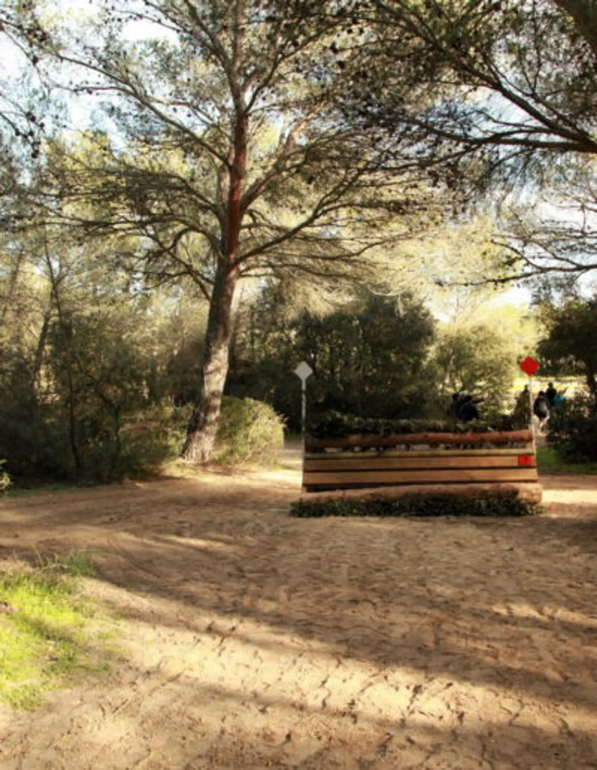 Les Ecuries De Riboulam