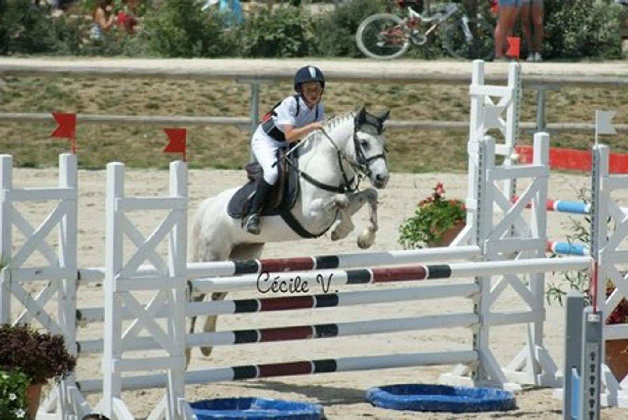 PONEYLAND DE LUISANT