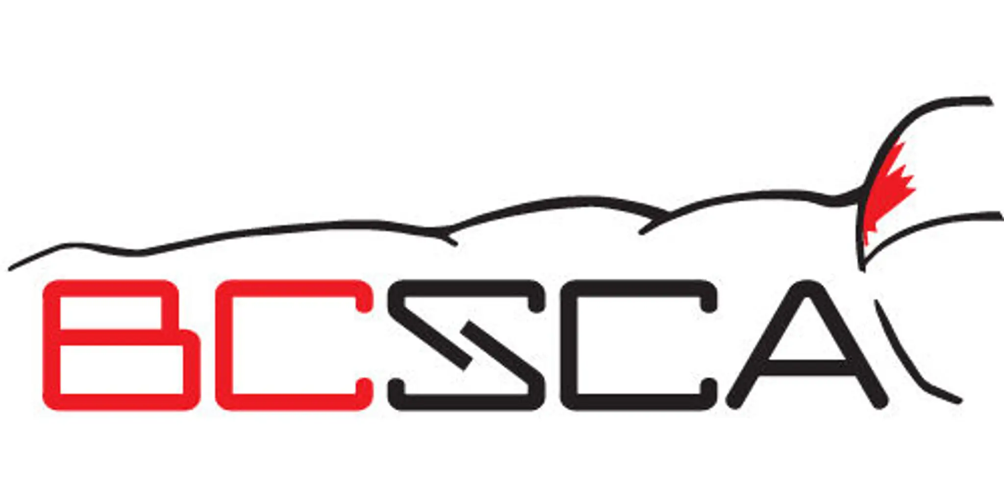 BC Swim Coaches Association