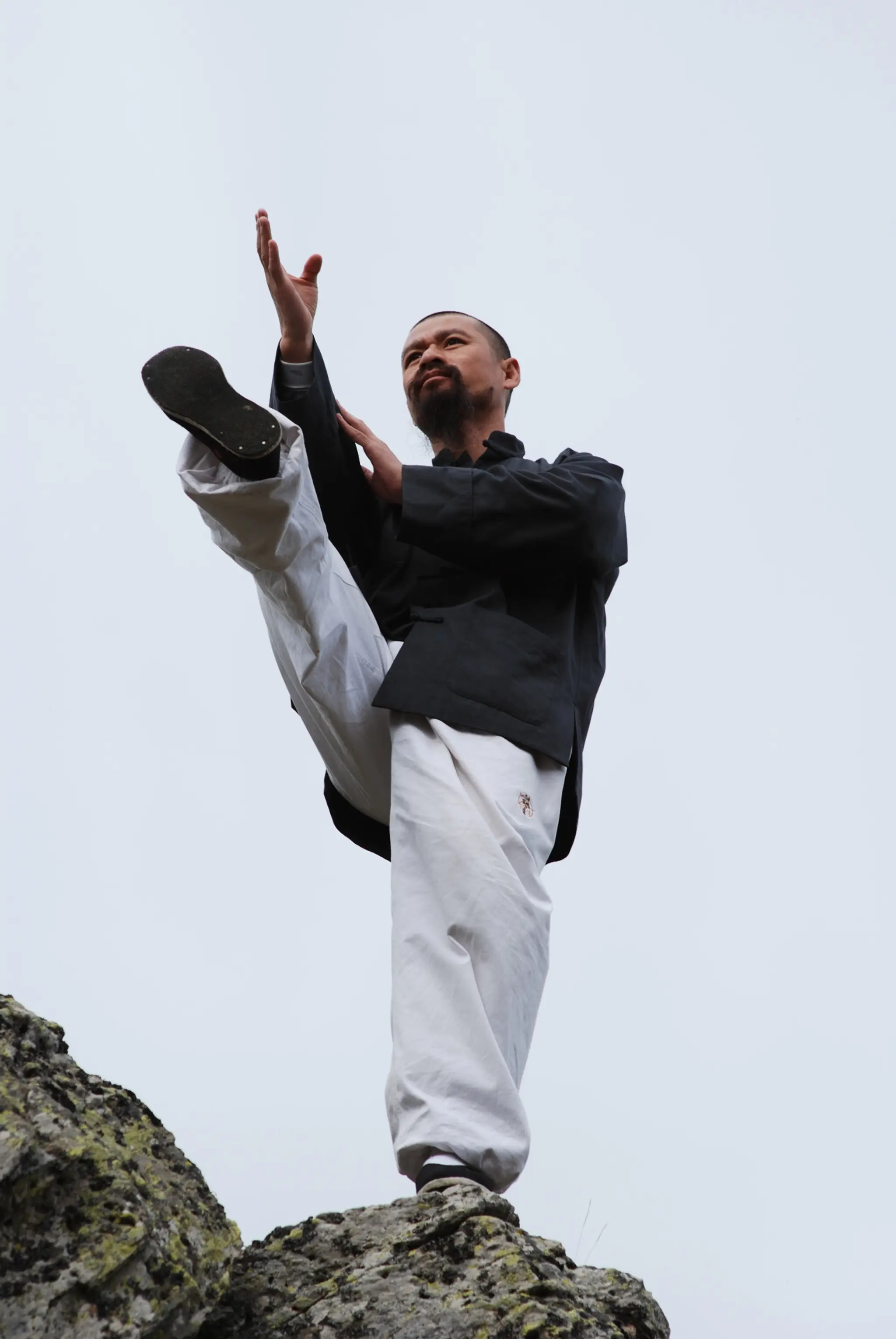 SIU LIM TAO WING CHUN KUNG FU