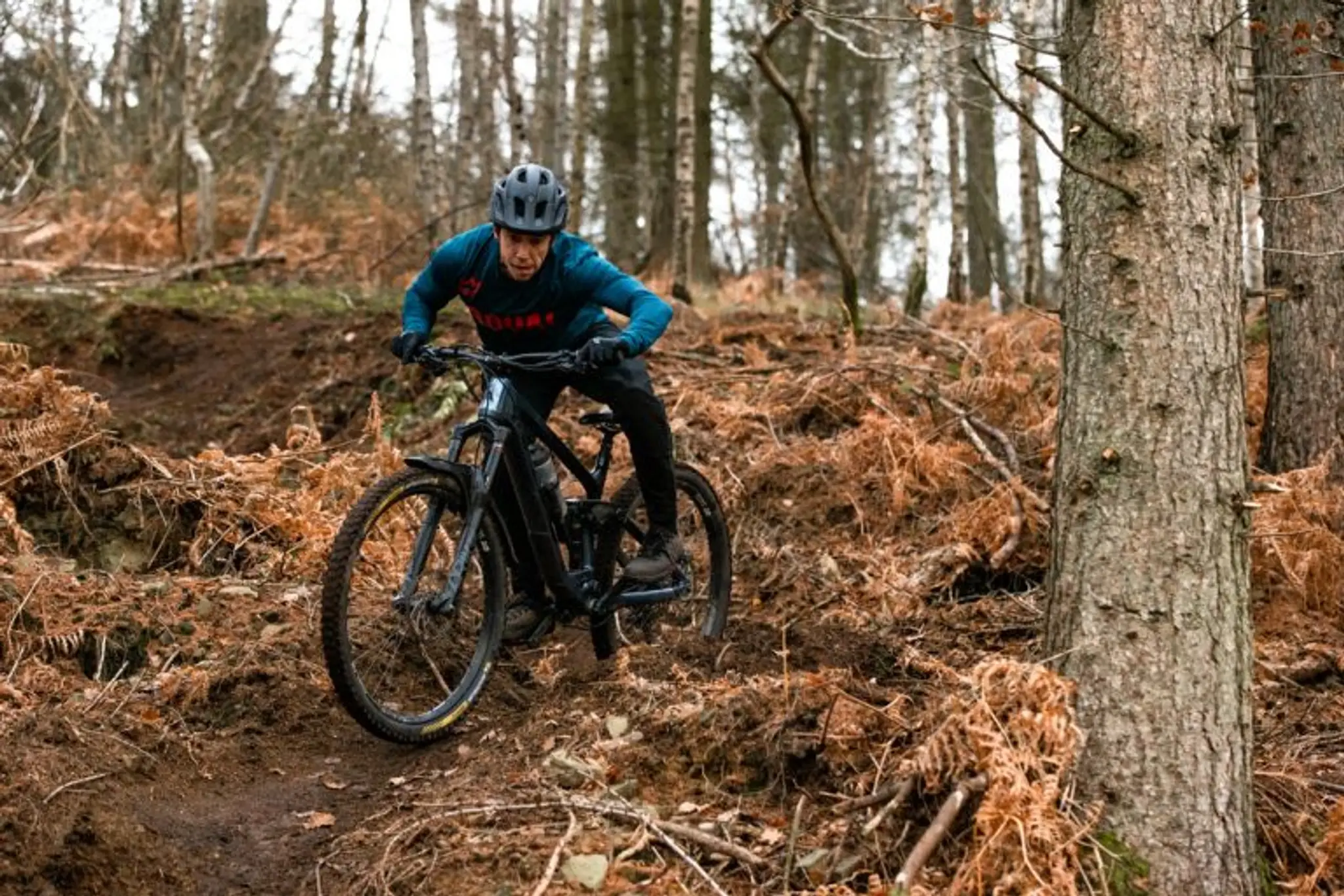 The Strength Factory