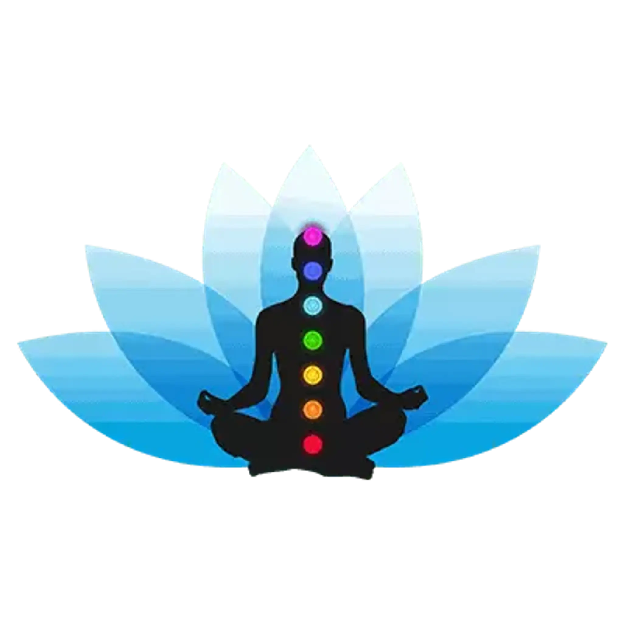 YOGA ESSENCE: Meditation Teacher Training Ashram