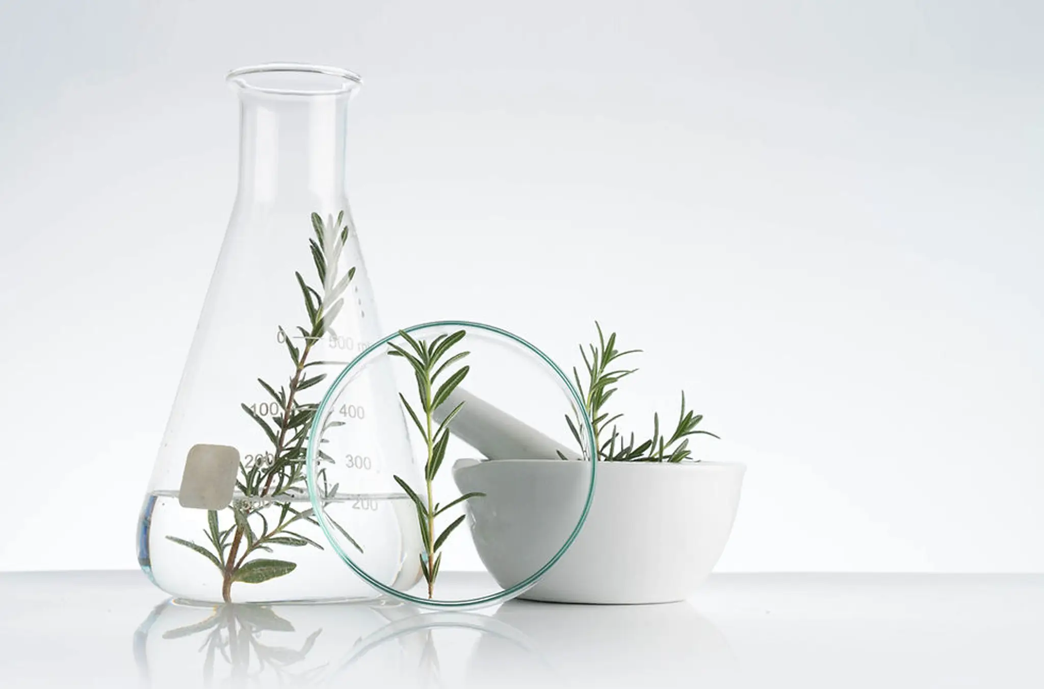 Laure Tochon Infinity