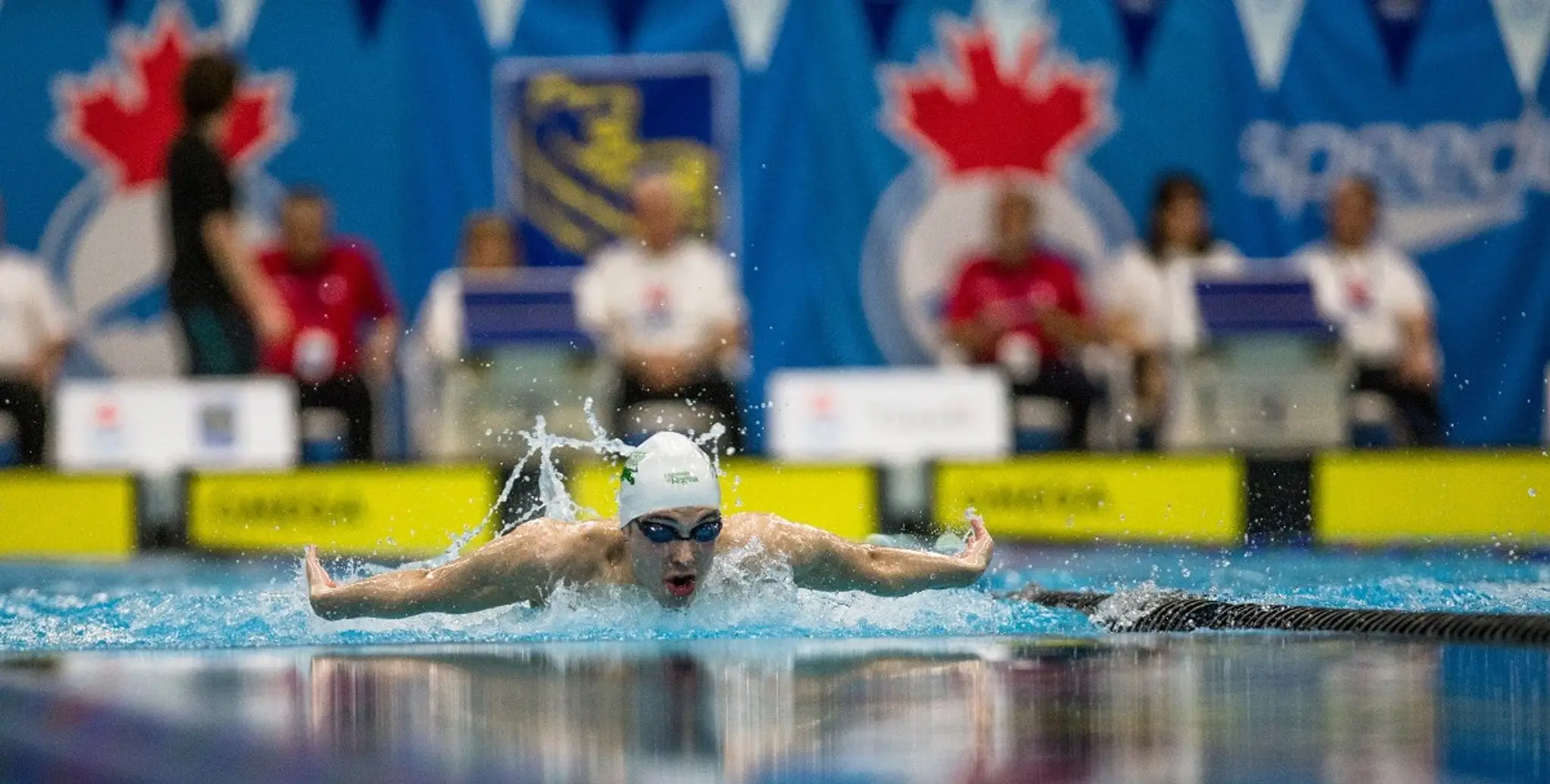 Regina Optimist Dolphins