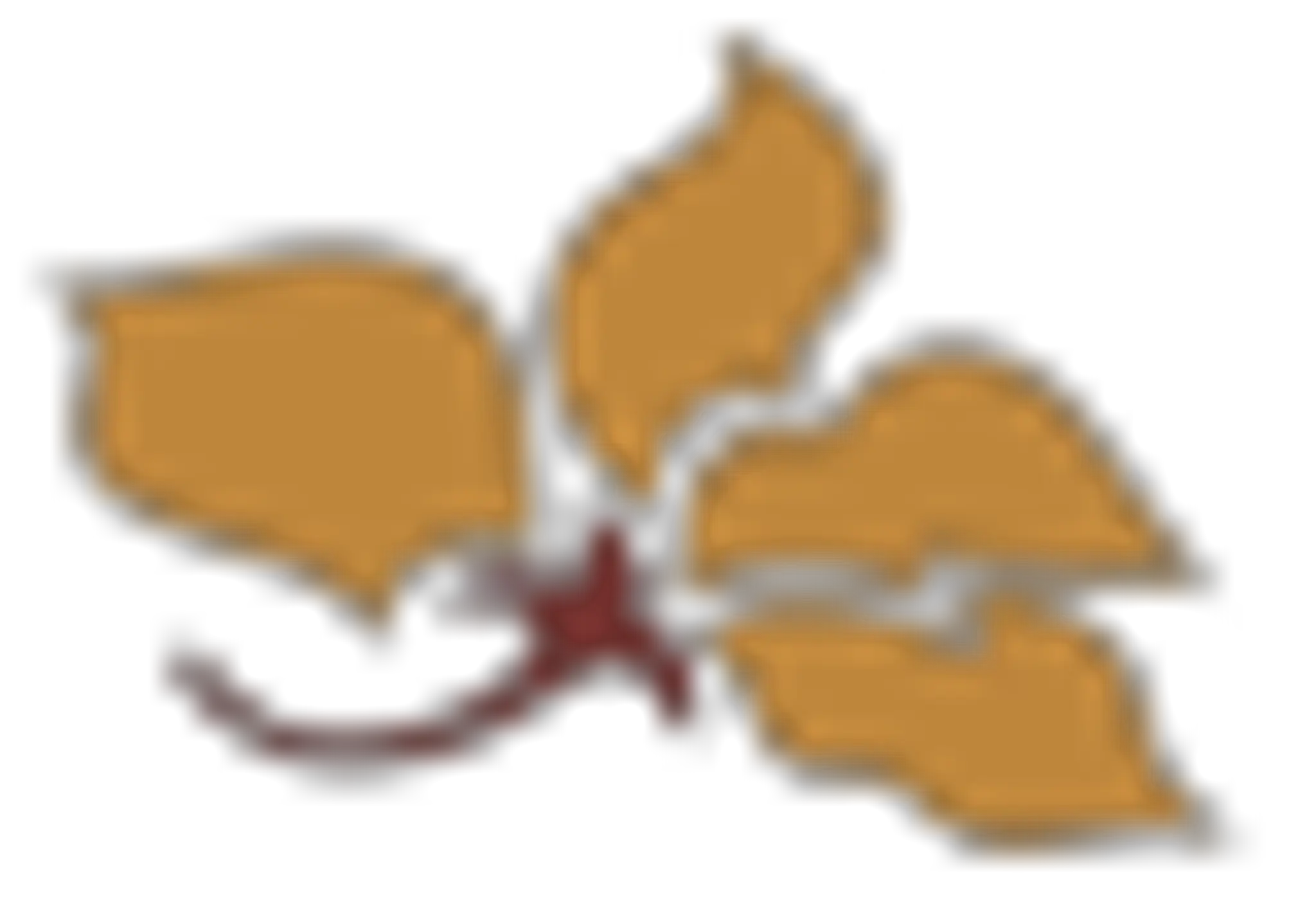 The Pride Hotel Pune