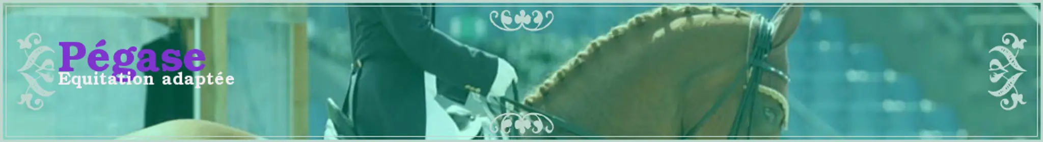 ASSOCIATION PEGASE