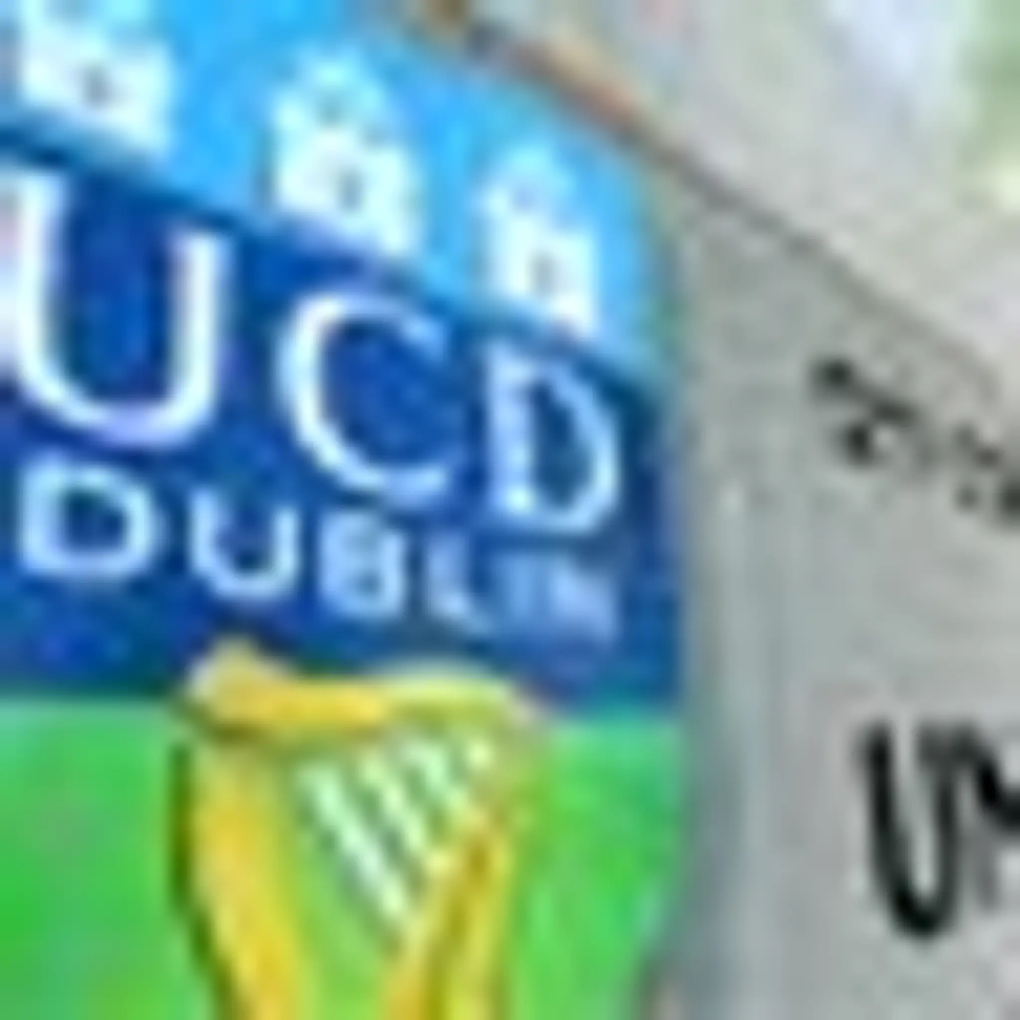 UCD GAA Pitch