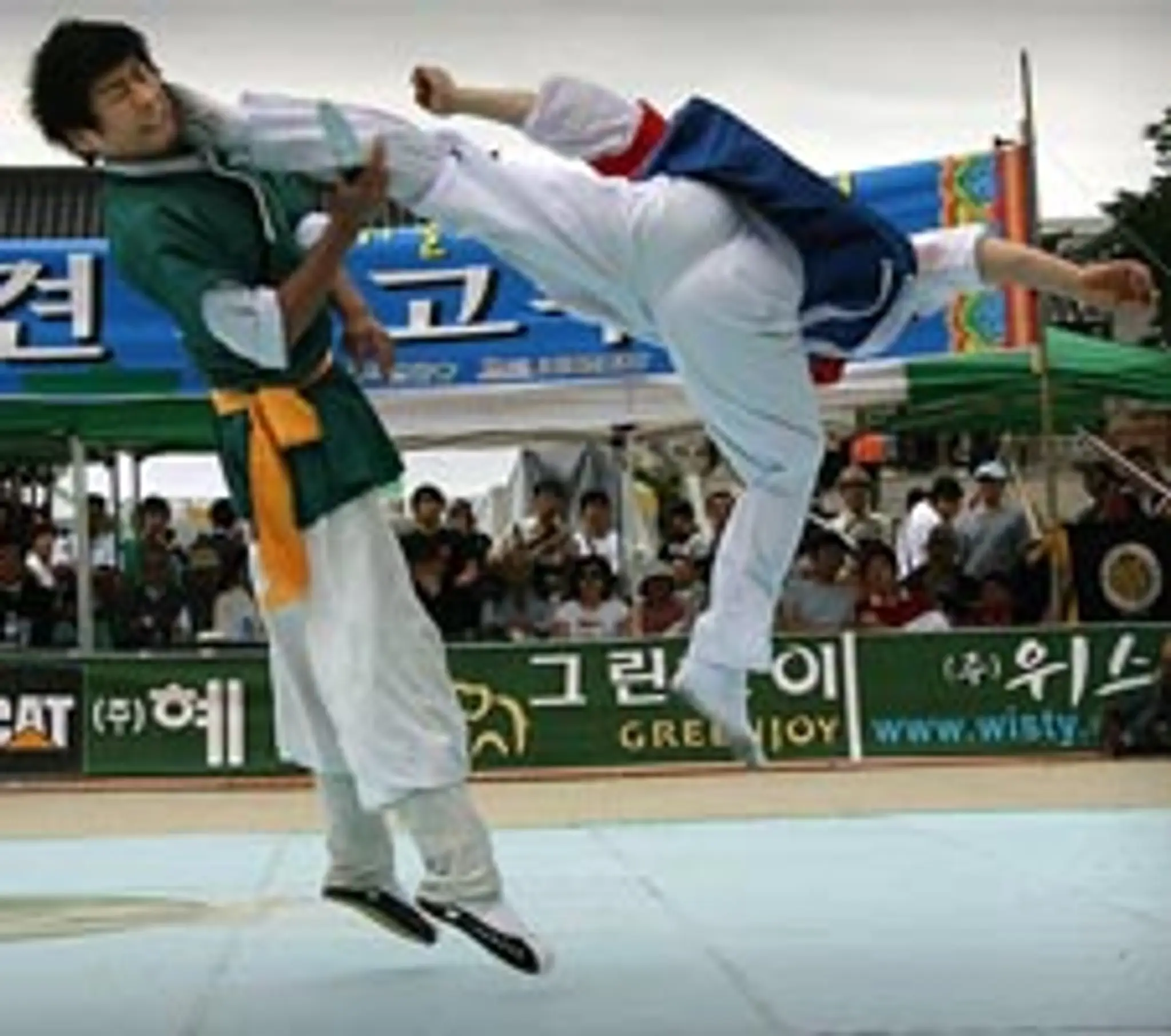 Taekwondo Jidokwan Vendargues
