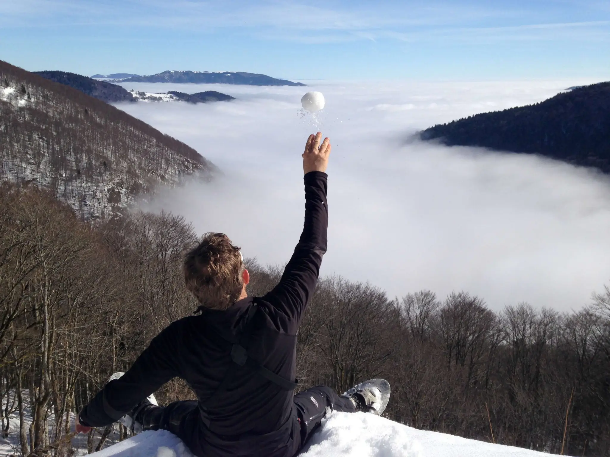 Centre De La Jumenterie