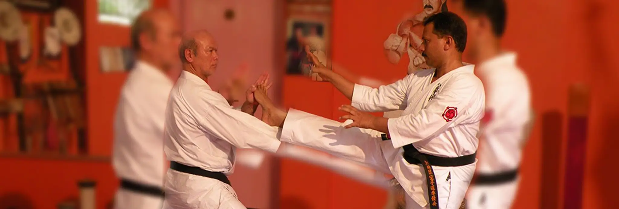 Uechi Ryu Karate School Mattannur