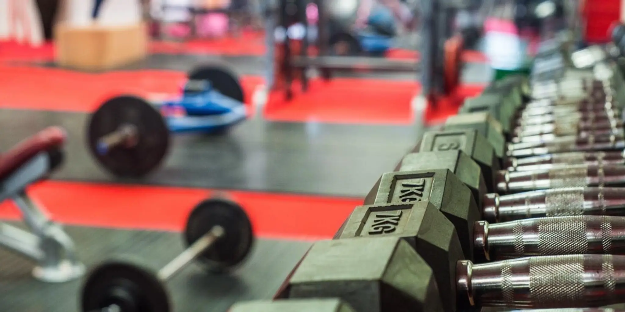 Scully Fitness Gym