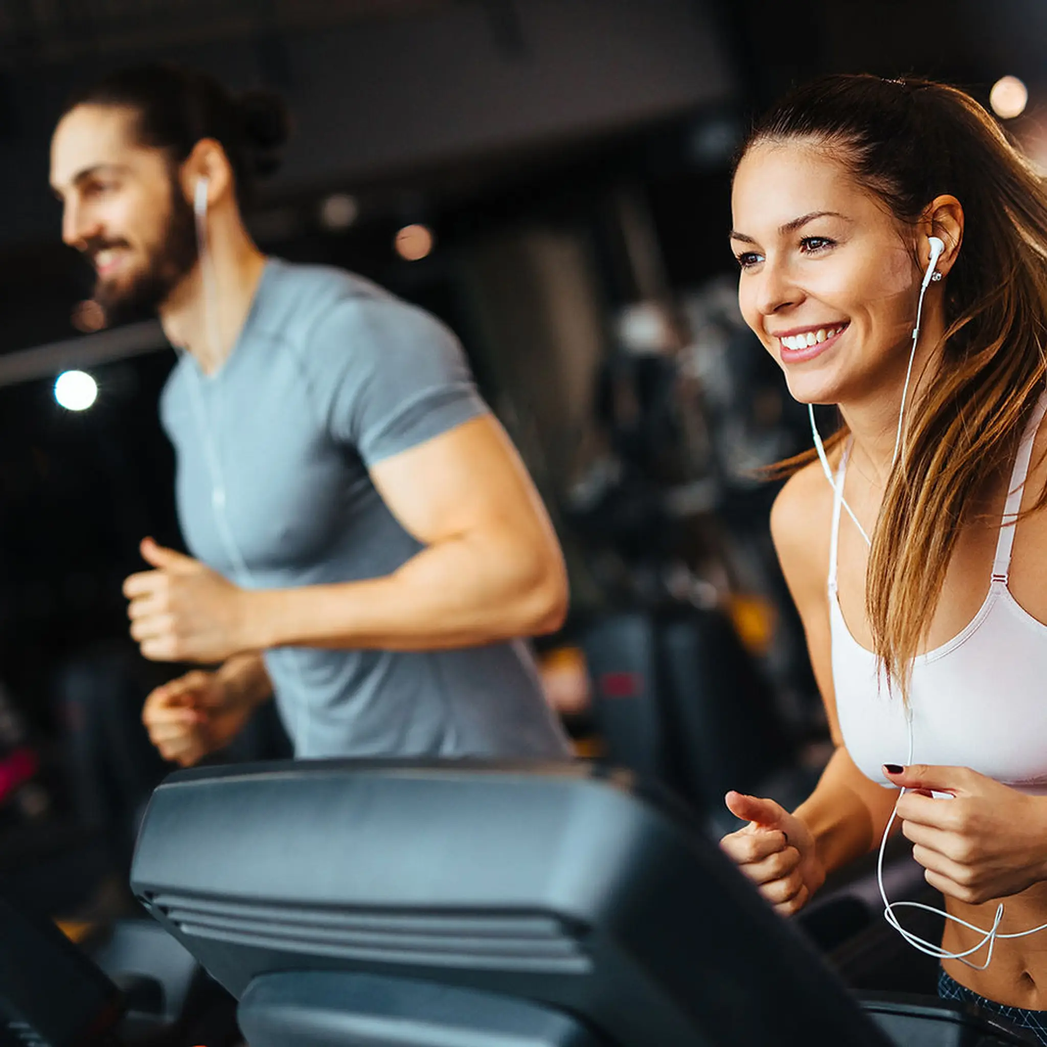 The Muscle Factory Gym