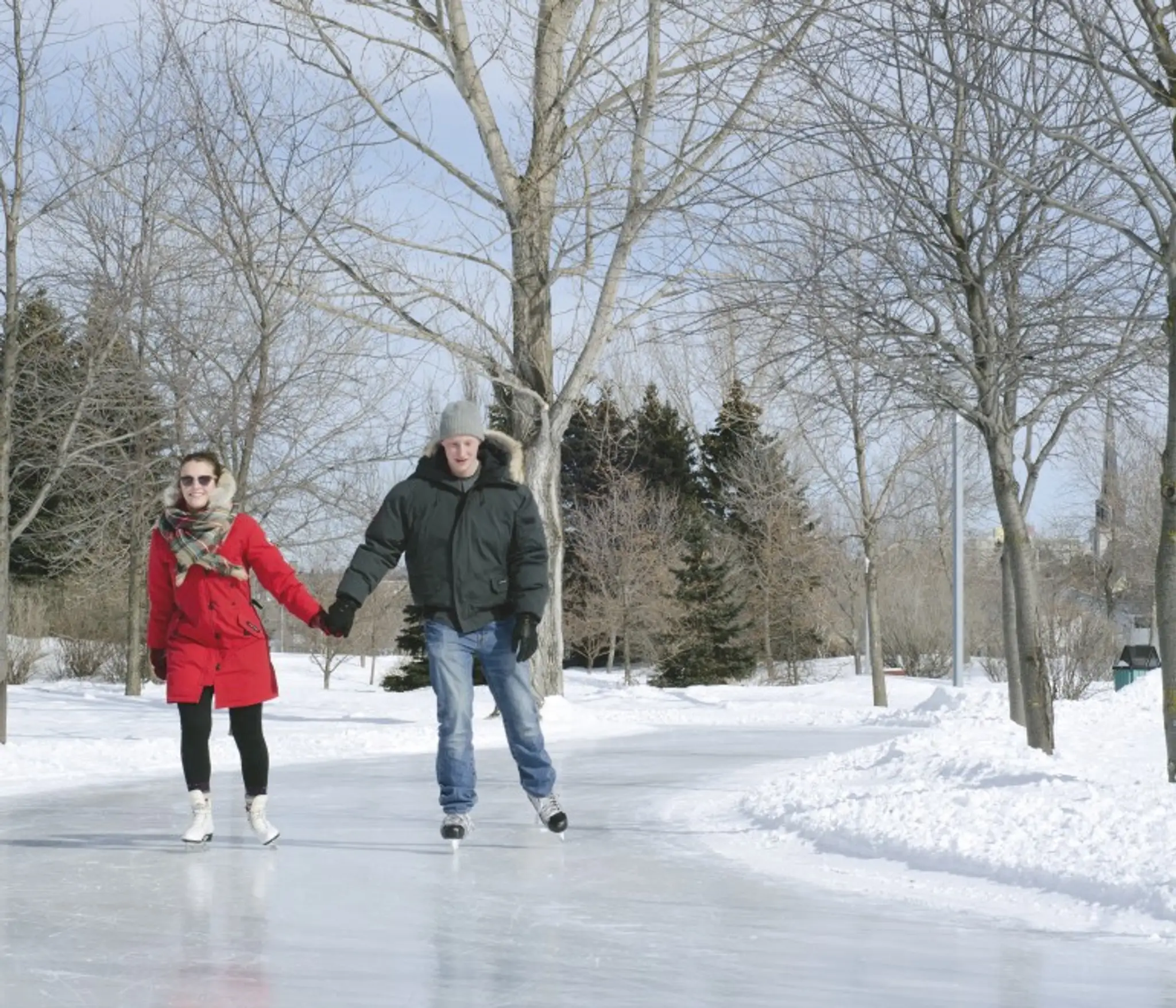 Coliseum Sun Life Financial