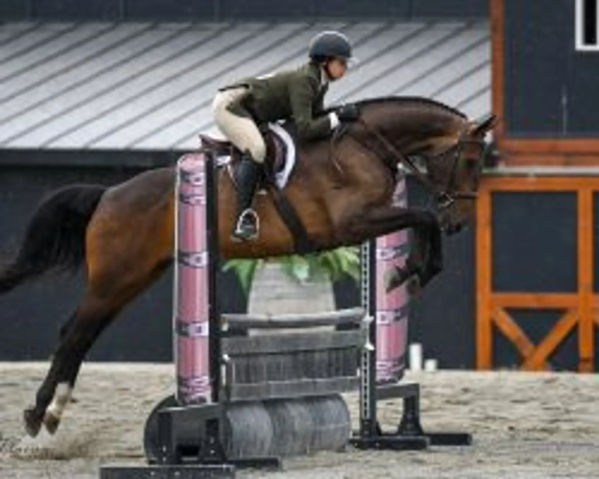 Ross Equestrian Services