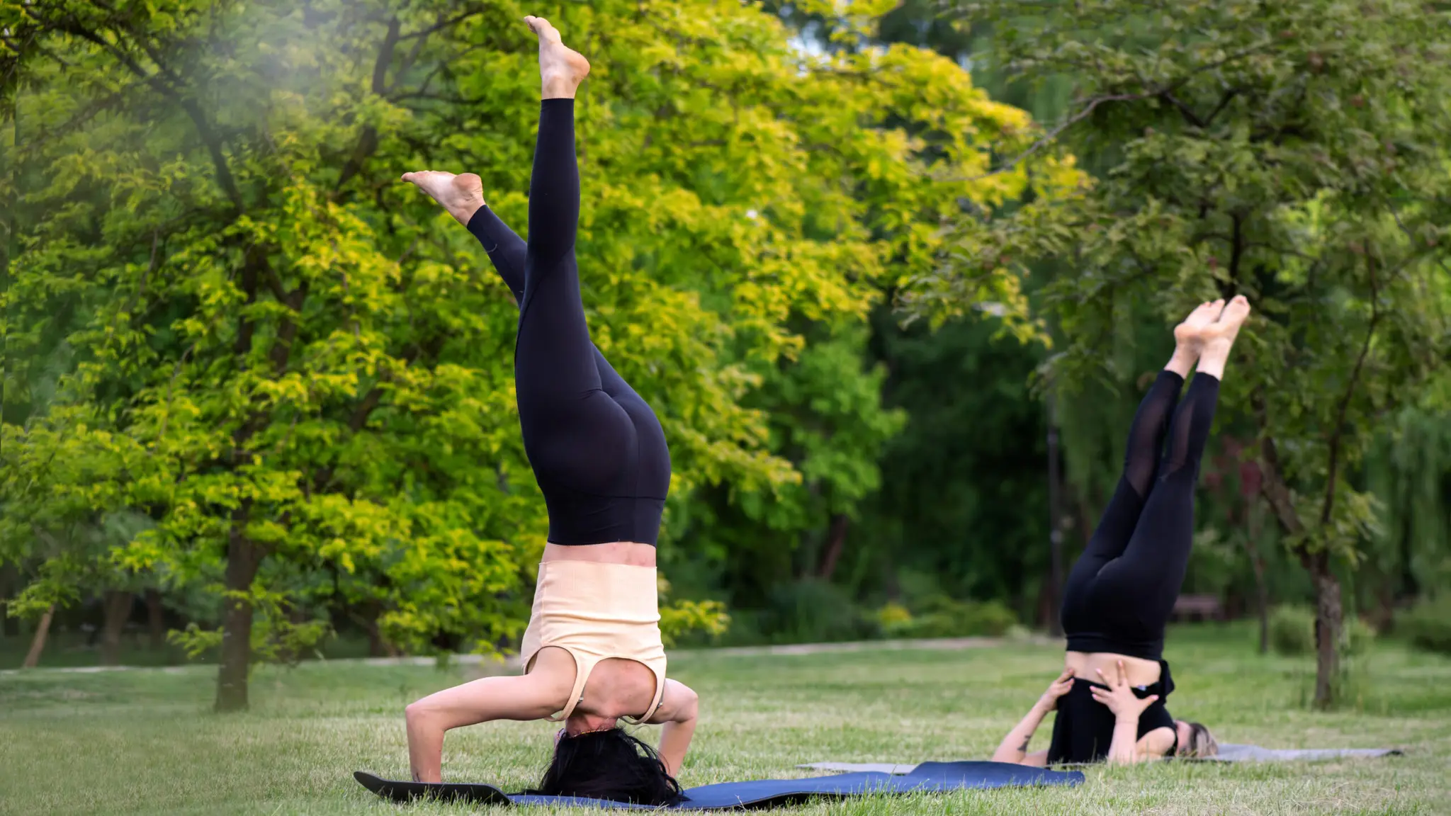 MarlyMyYogi
